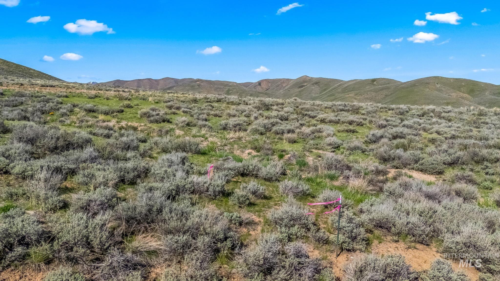 Lot 24 Buena Vista Loop Property Photo 9