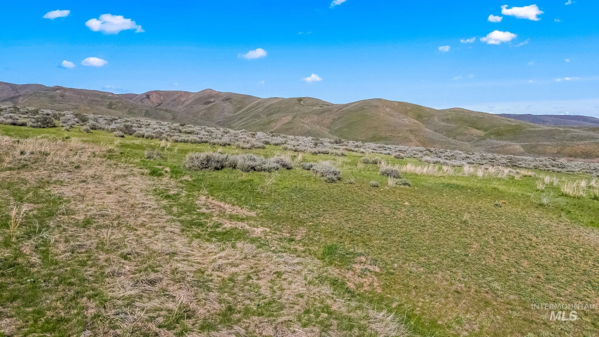 Lot 29 Buena Vista Loop Property Photo 9