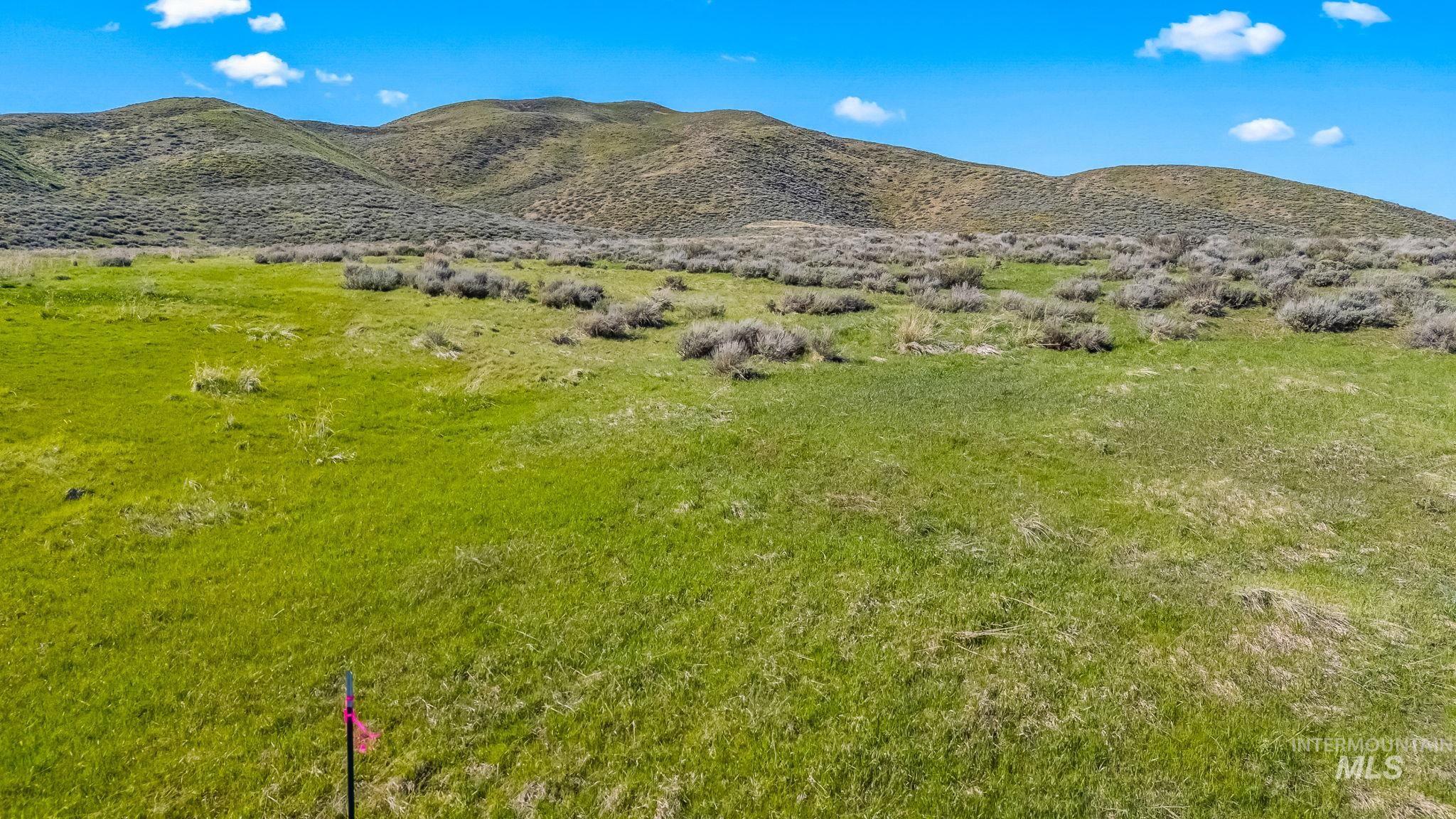 Lot 29 Buena Vista Loop Property Photo 10