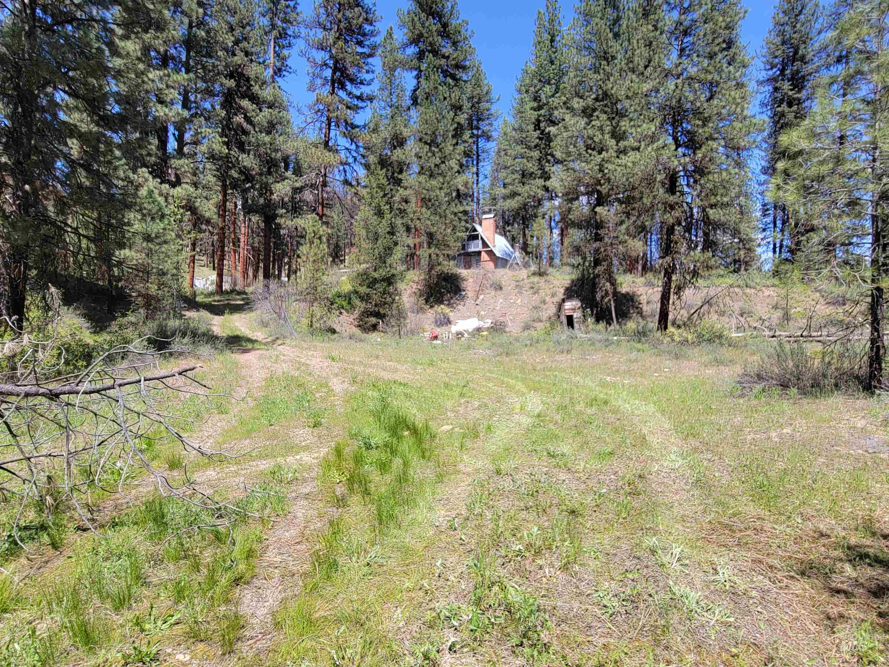 4156 Hwy 21 Property Photo 2