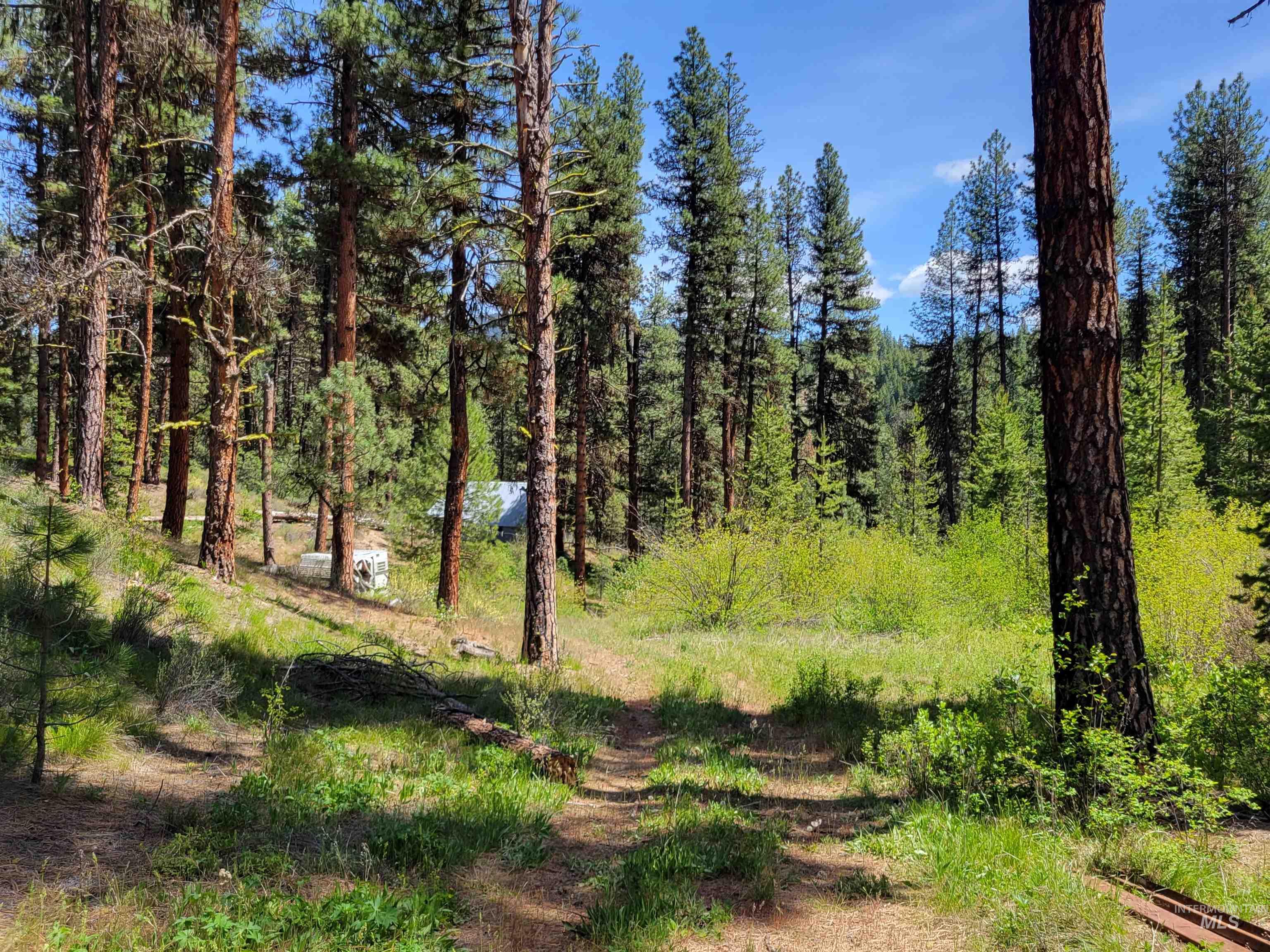 4156 Hwy 21 Property Photo 5