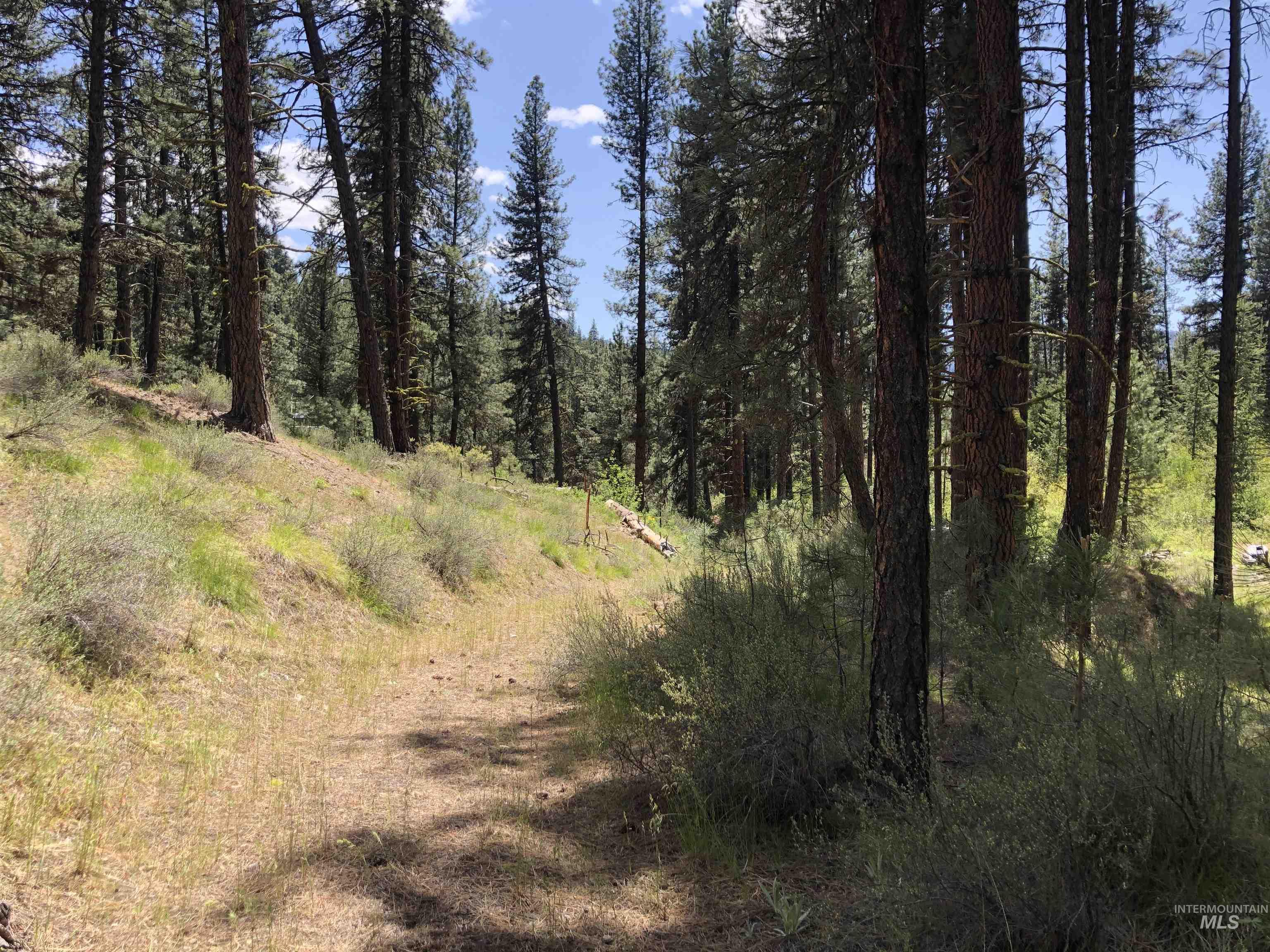 4156 Hwy 21 Property Photo 6