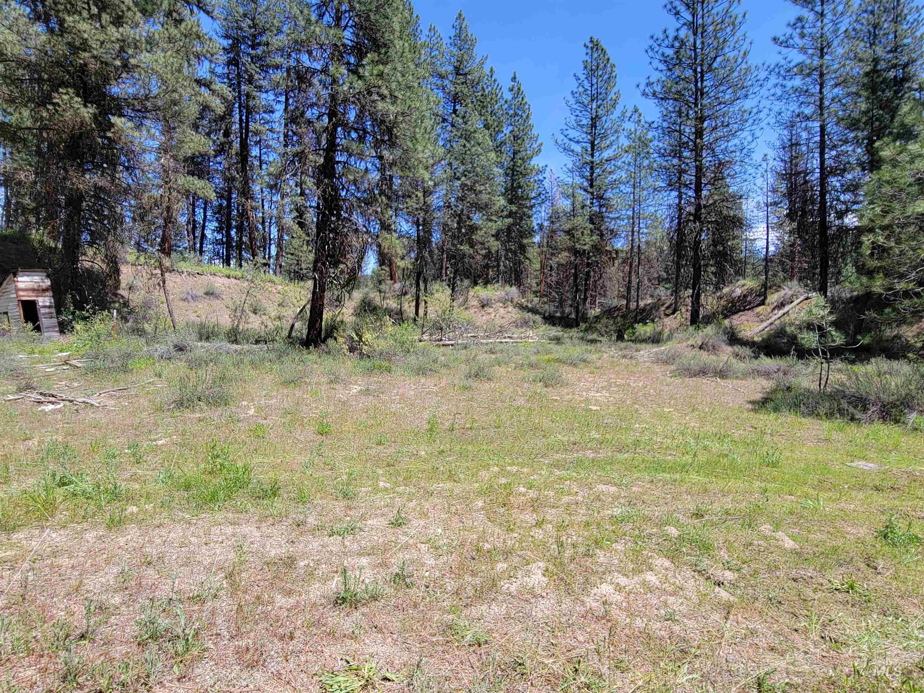 4156 Hwy 21 Property Photo 7