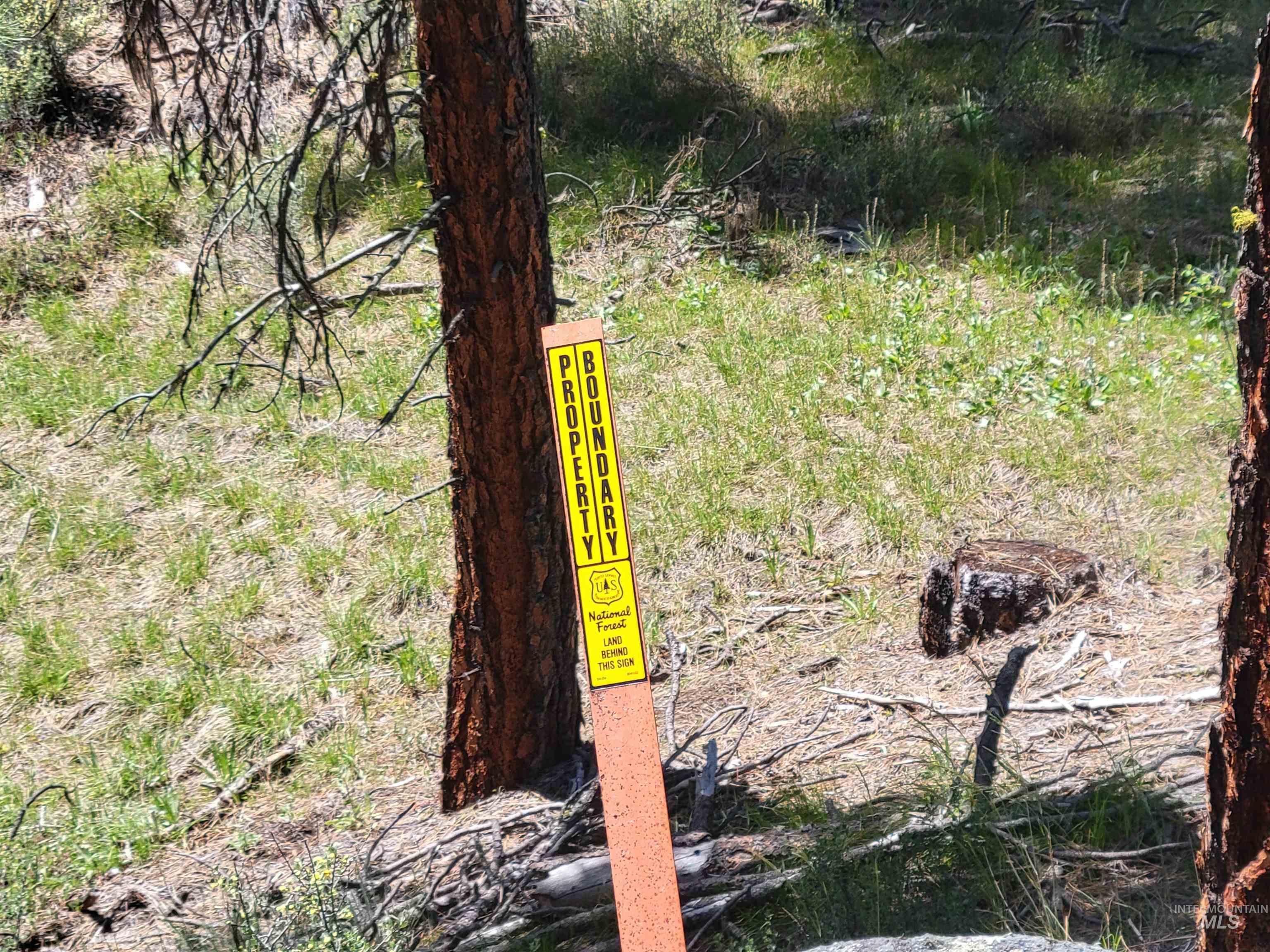 4156 Hwy 21 Property Photo 8