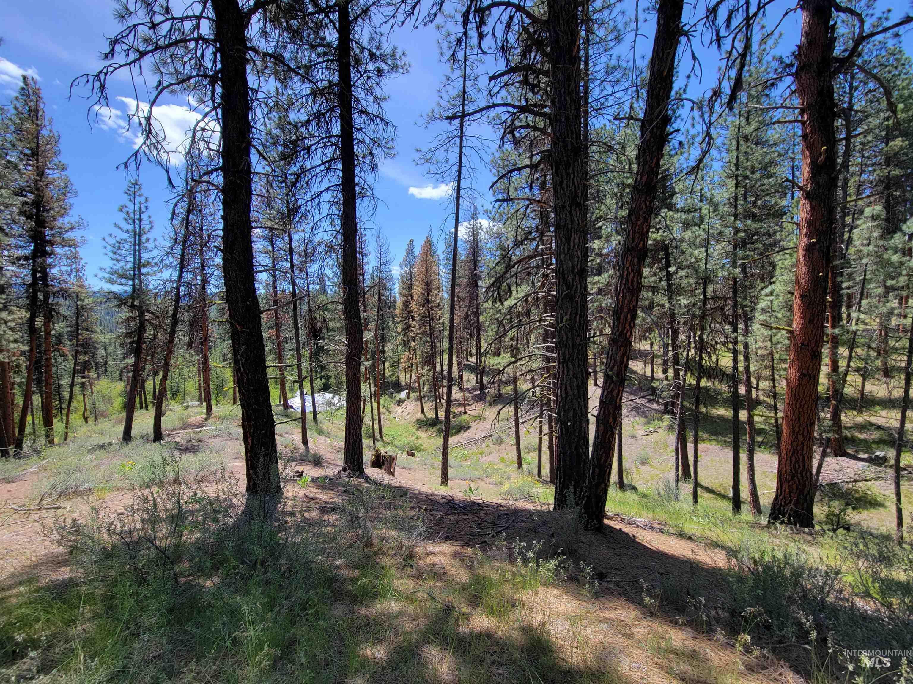 4156 Hwy 21 Property Photo 9