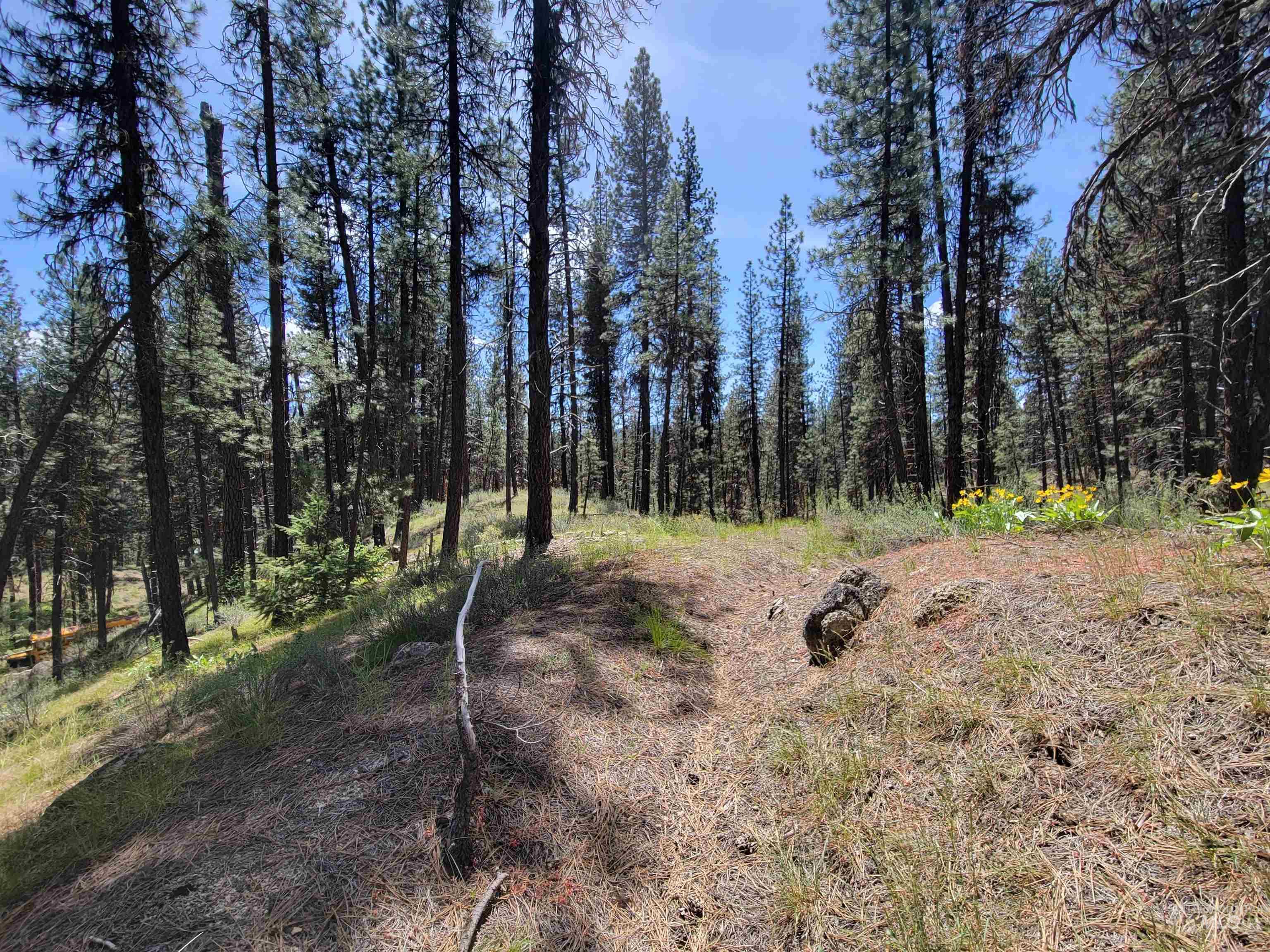 4156 Hwy 21 Property Photo 10