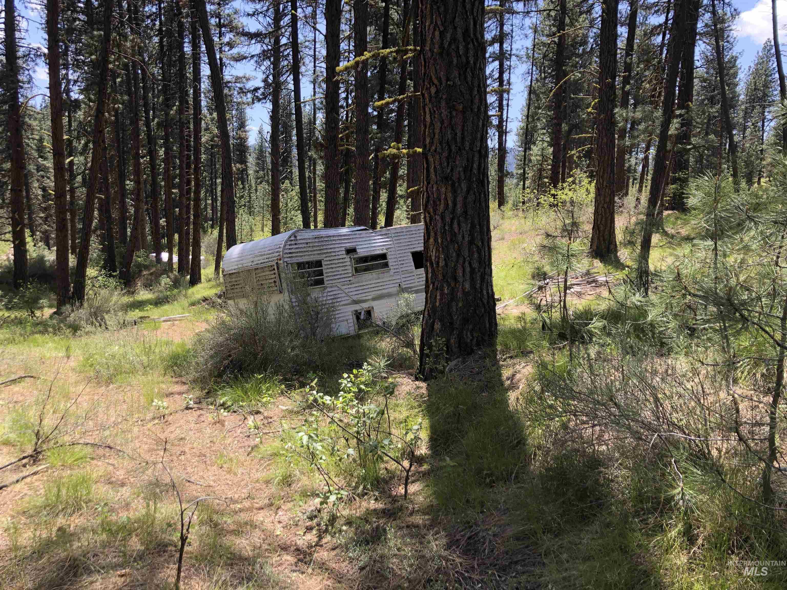 4156 Hwy 21 Property Photo 13