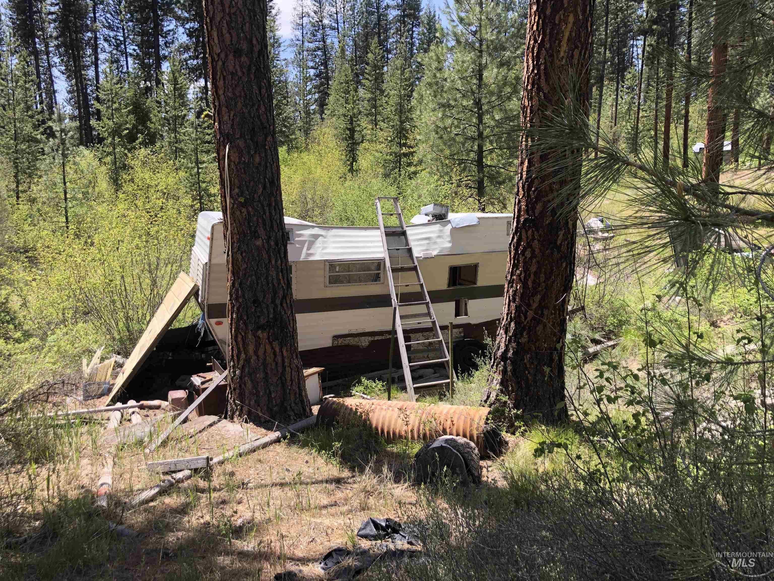 4156 Hwy 21 Property Photo 14