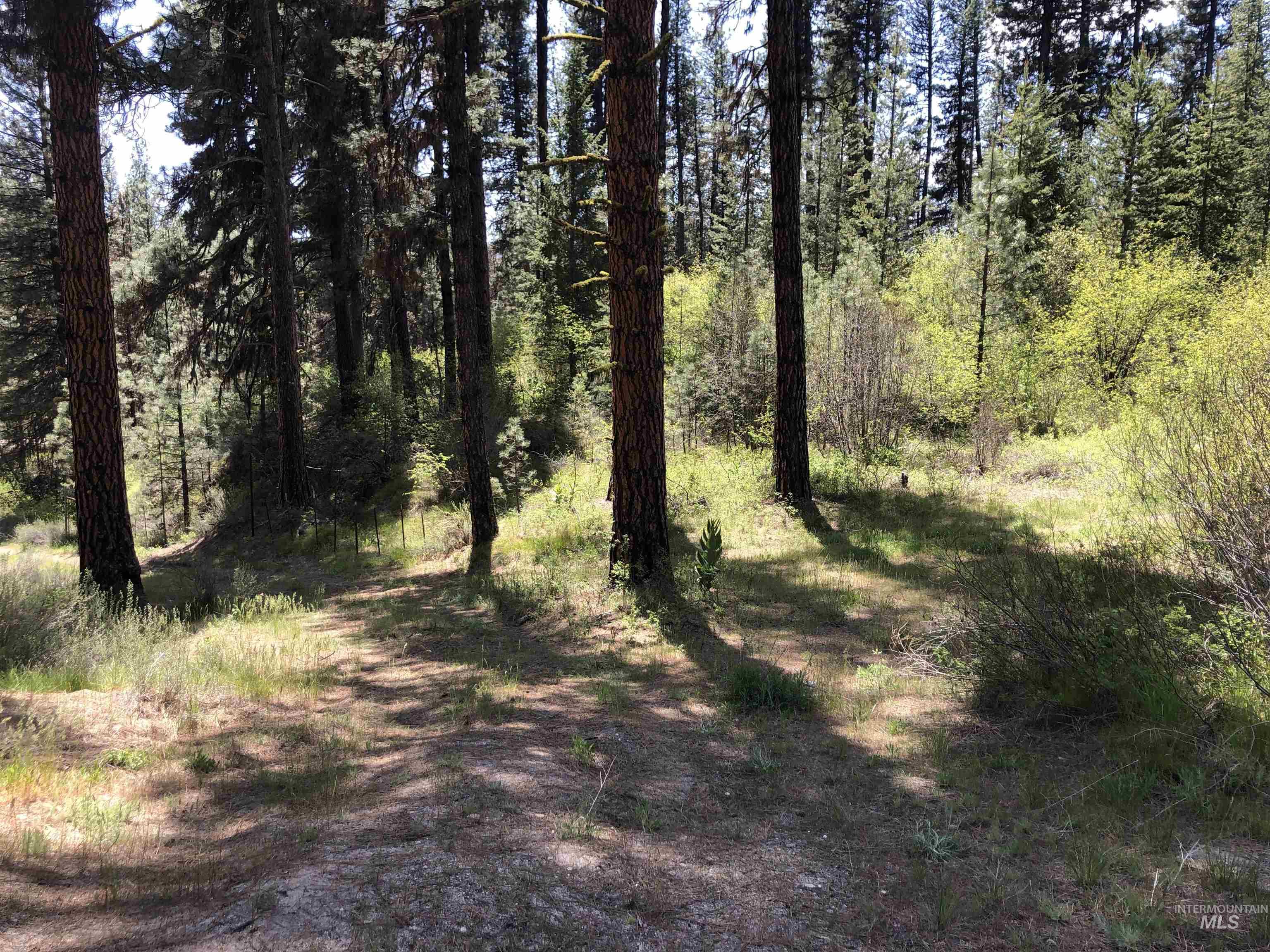 4156 Hwy 21 Property Photo 17