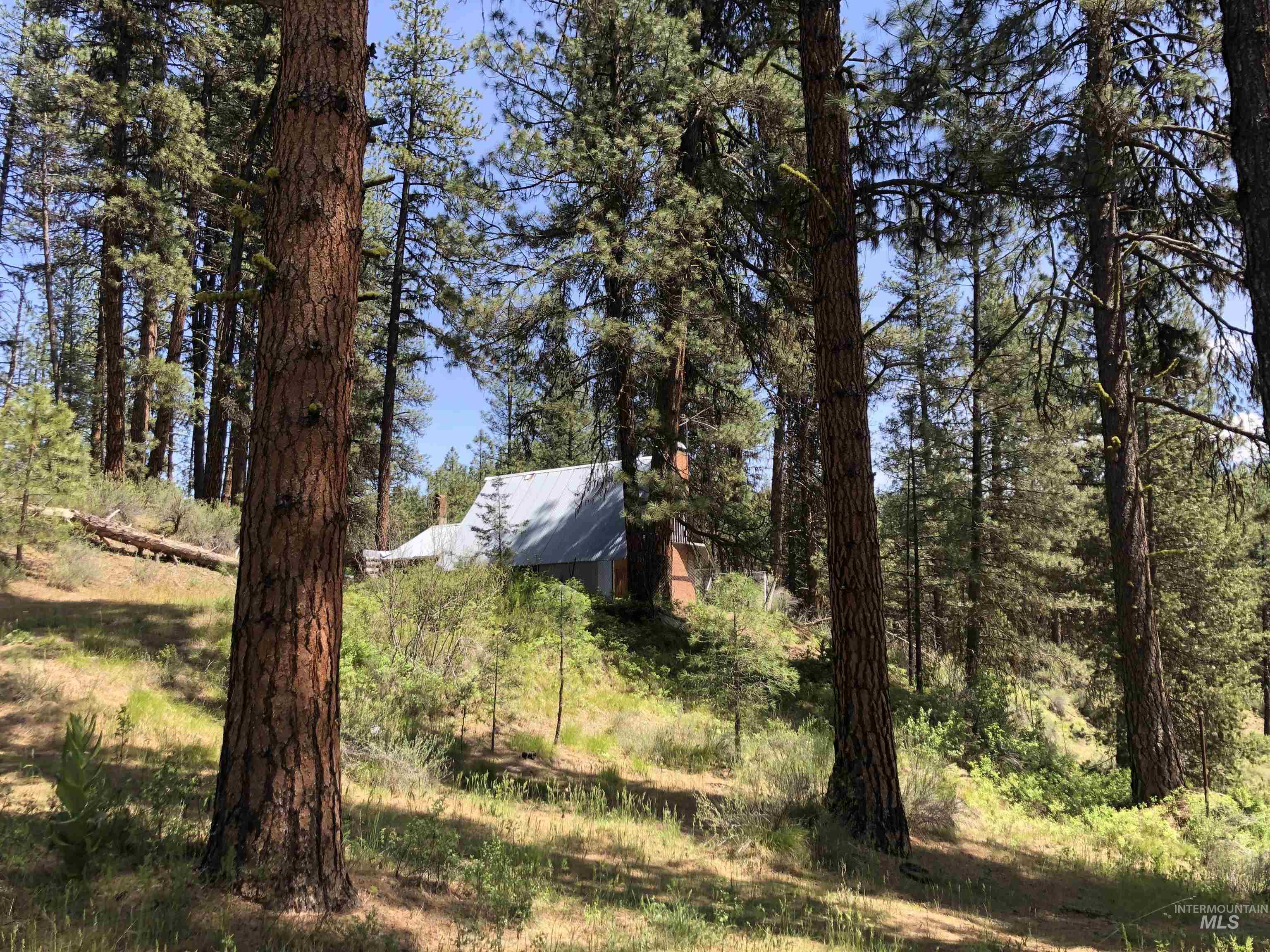 4156 Hwy 21 Property Photo 19