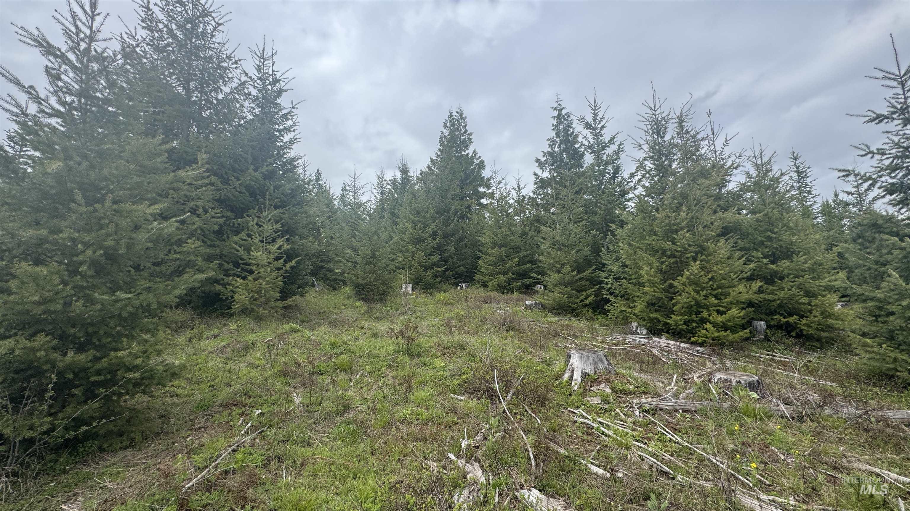 Tbd Parcel 8 Bandmill Heights Property Photo 14