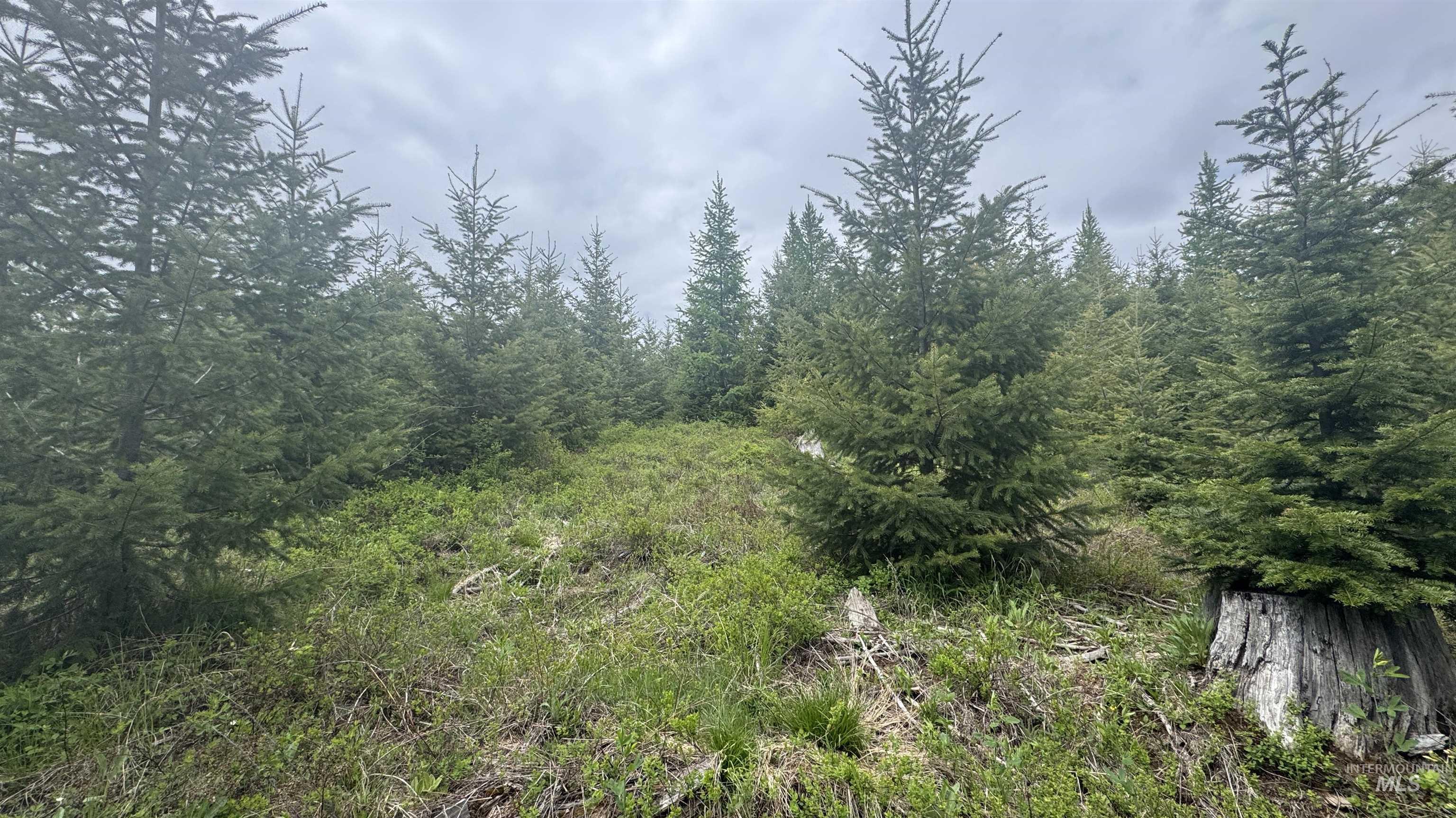 Tbd Parcel 8 Bandmill Heights Property Photo 21