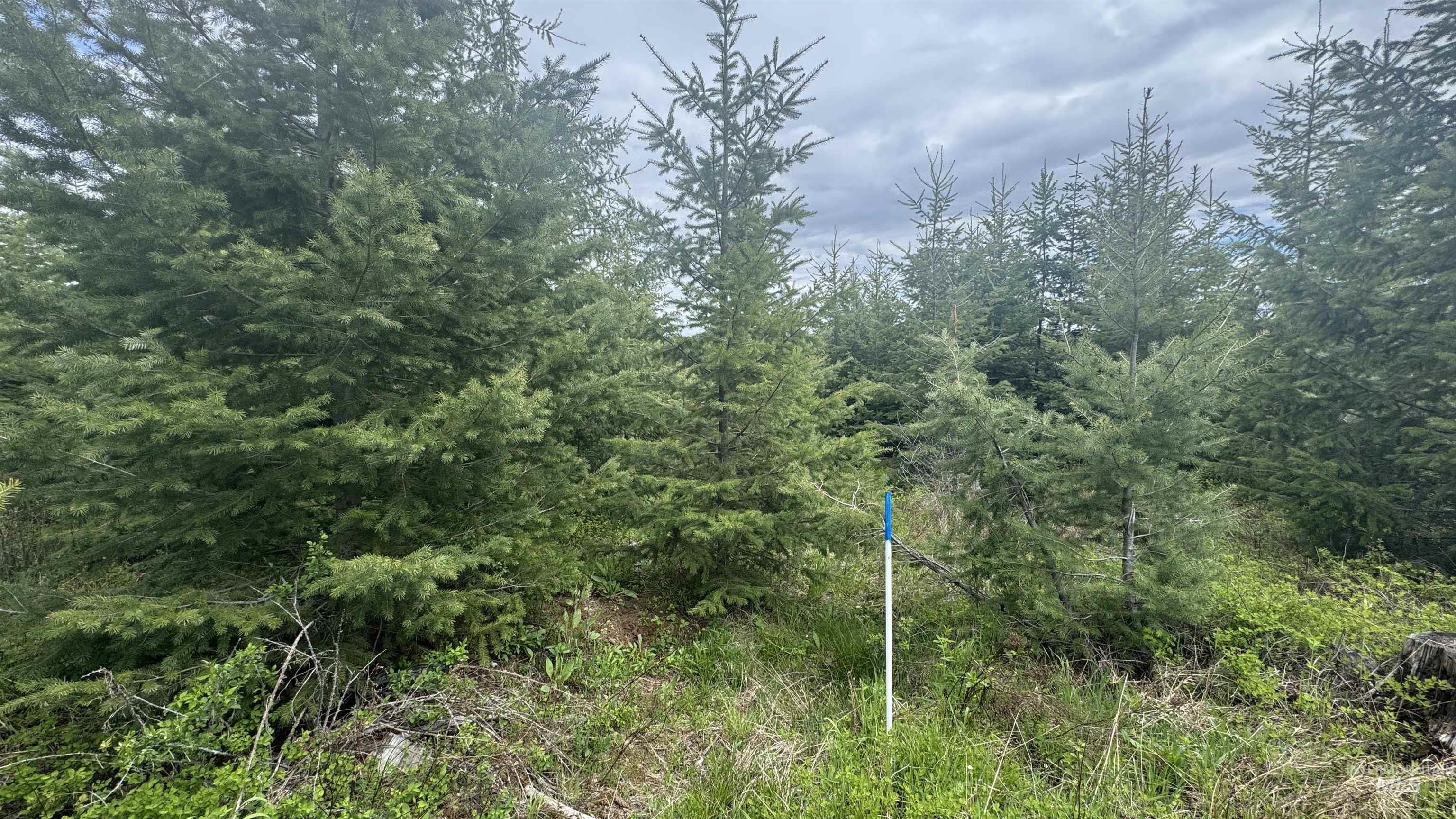 Tbd Parcel 8 Bandmill Heights Property Photo 26