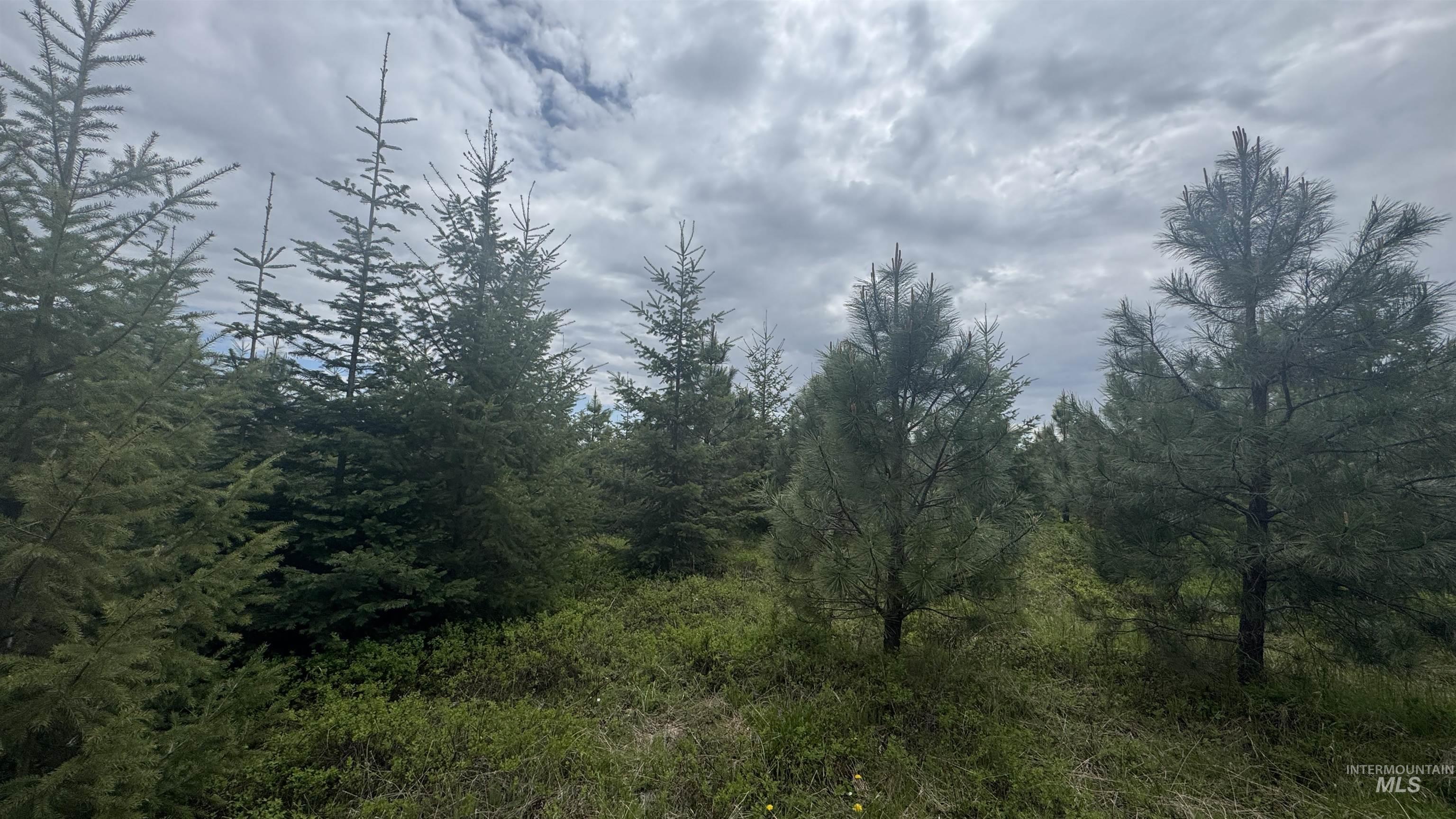 Tbd Parcel 8 Bandmill Heights Property Photo 27