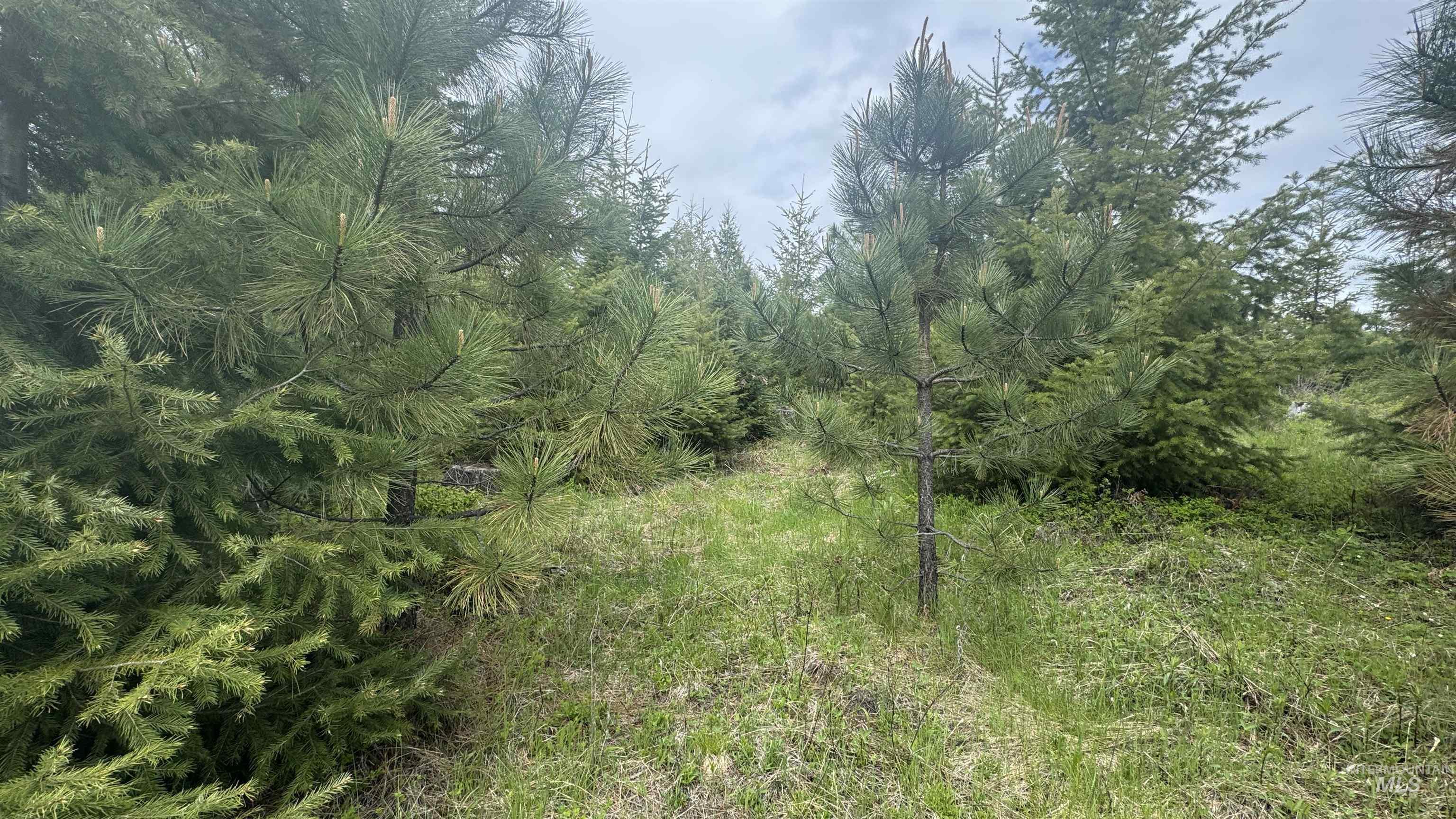 Tbd Parcel 8 Bandmill Heights Property Photo 33