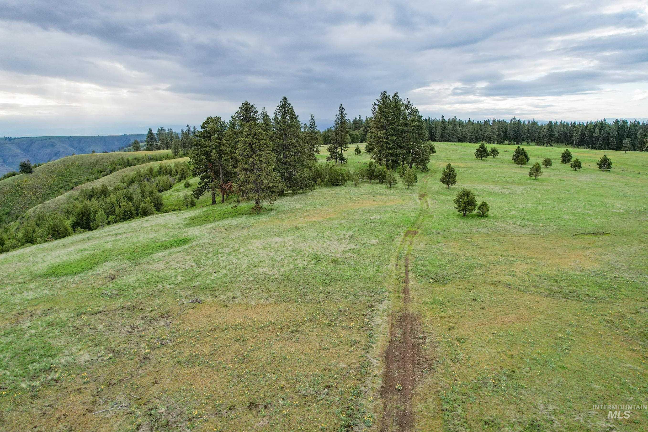 205 Burnt Creek Road Property Photo 14