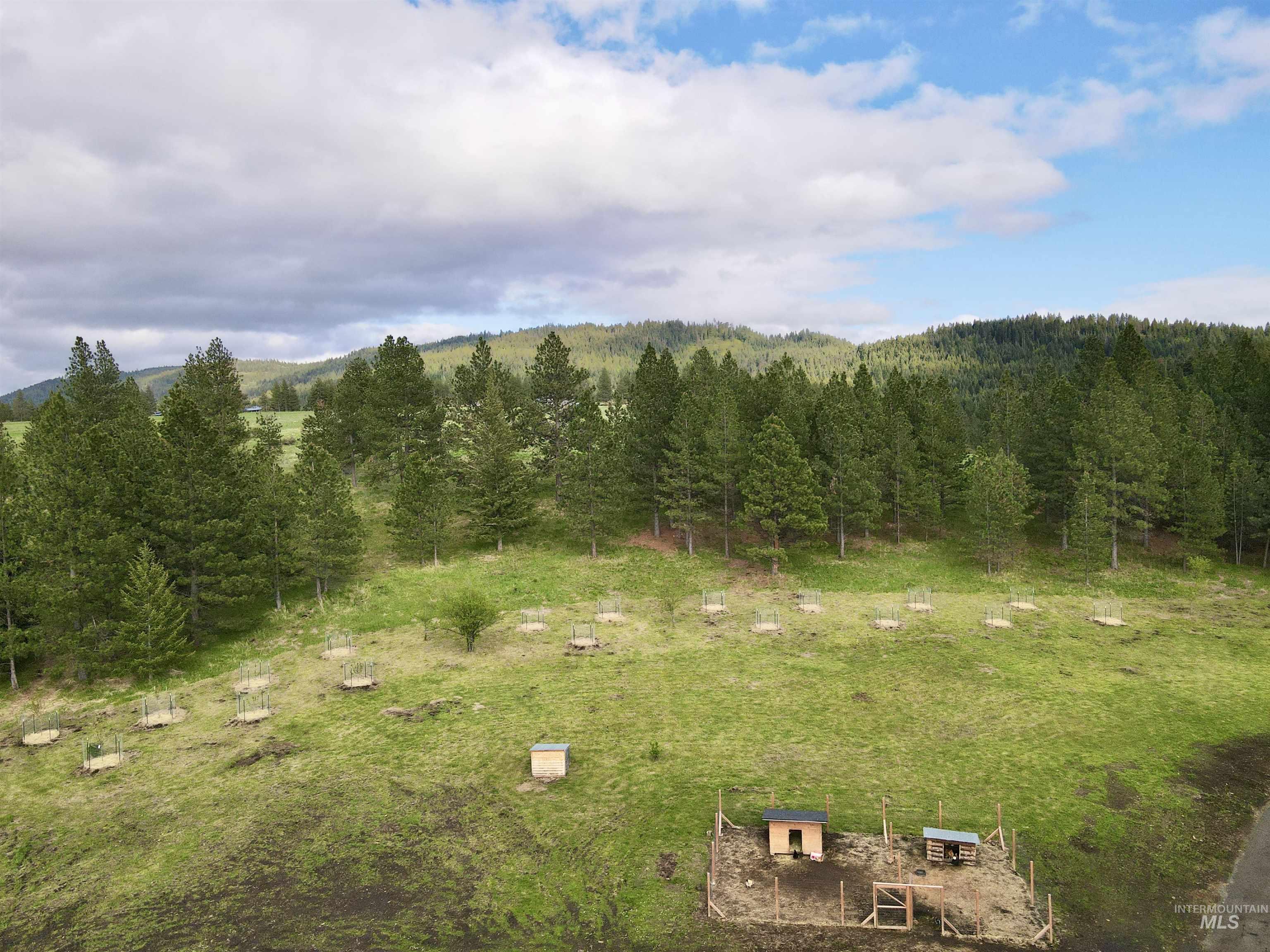 2471 Old White Bird Hill Rd Property Photo 4