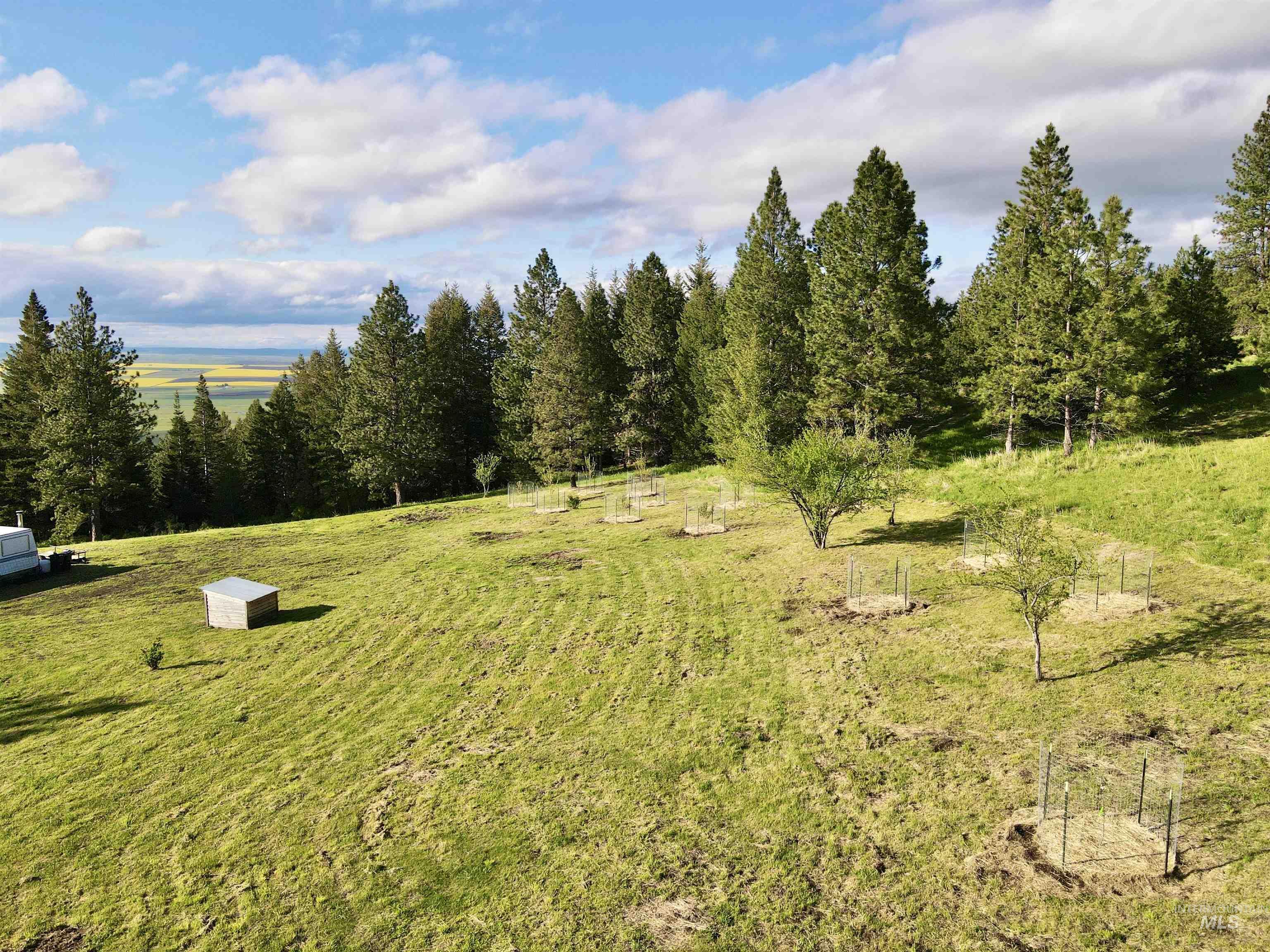 2471 Old White Bird Hill Rd Property Photo 13