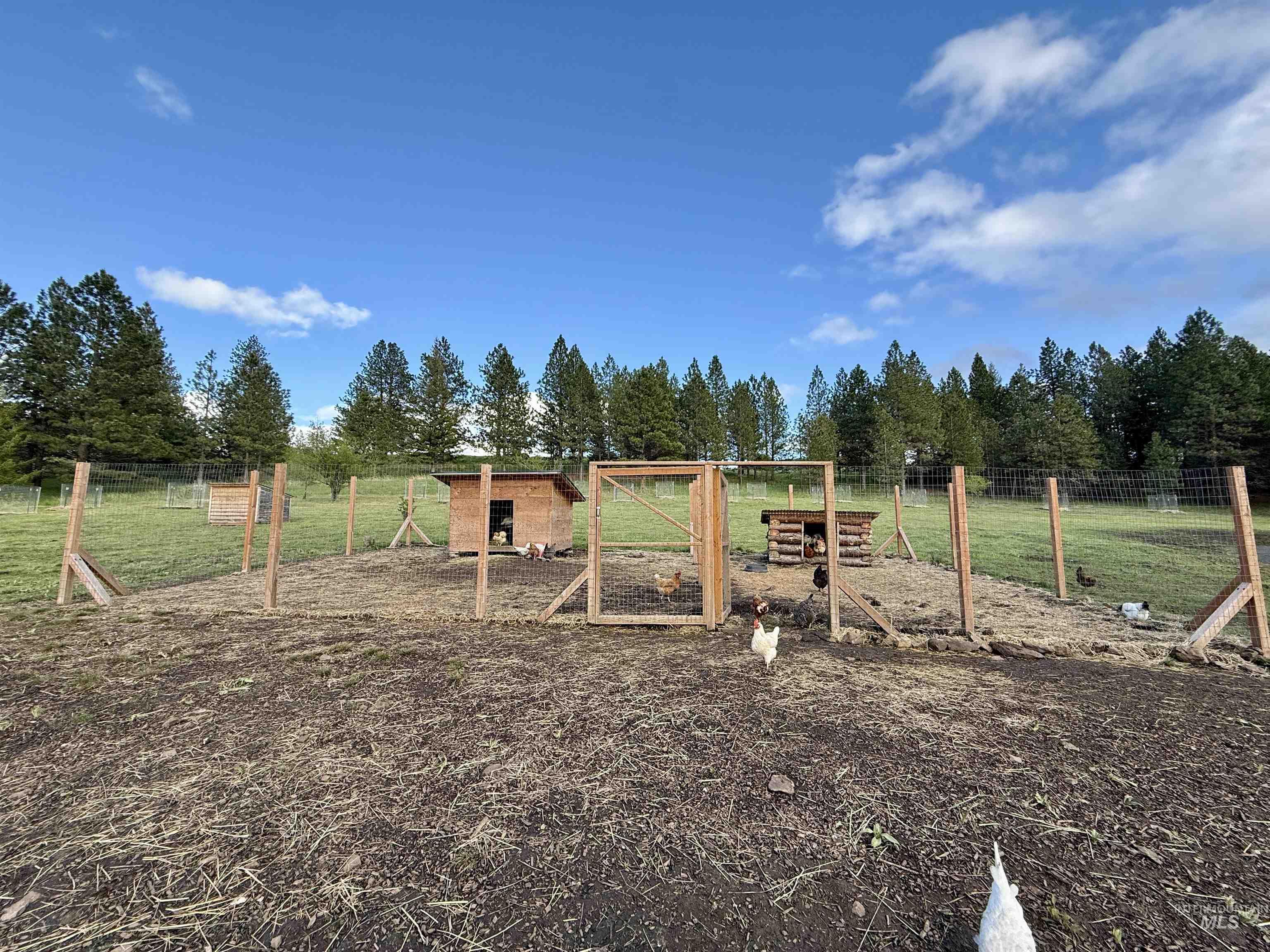 2471 Old White Bird Hill Rd Property Photo 15