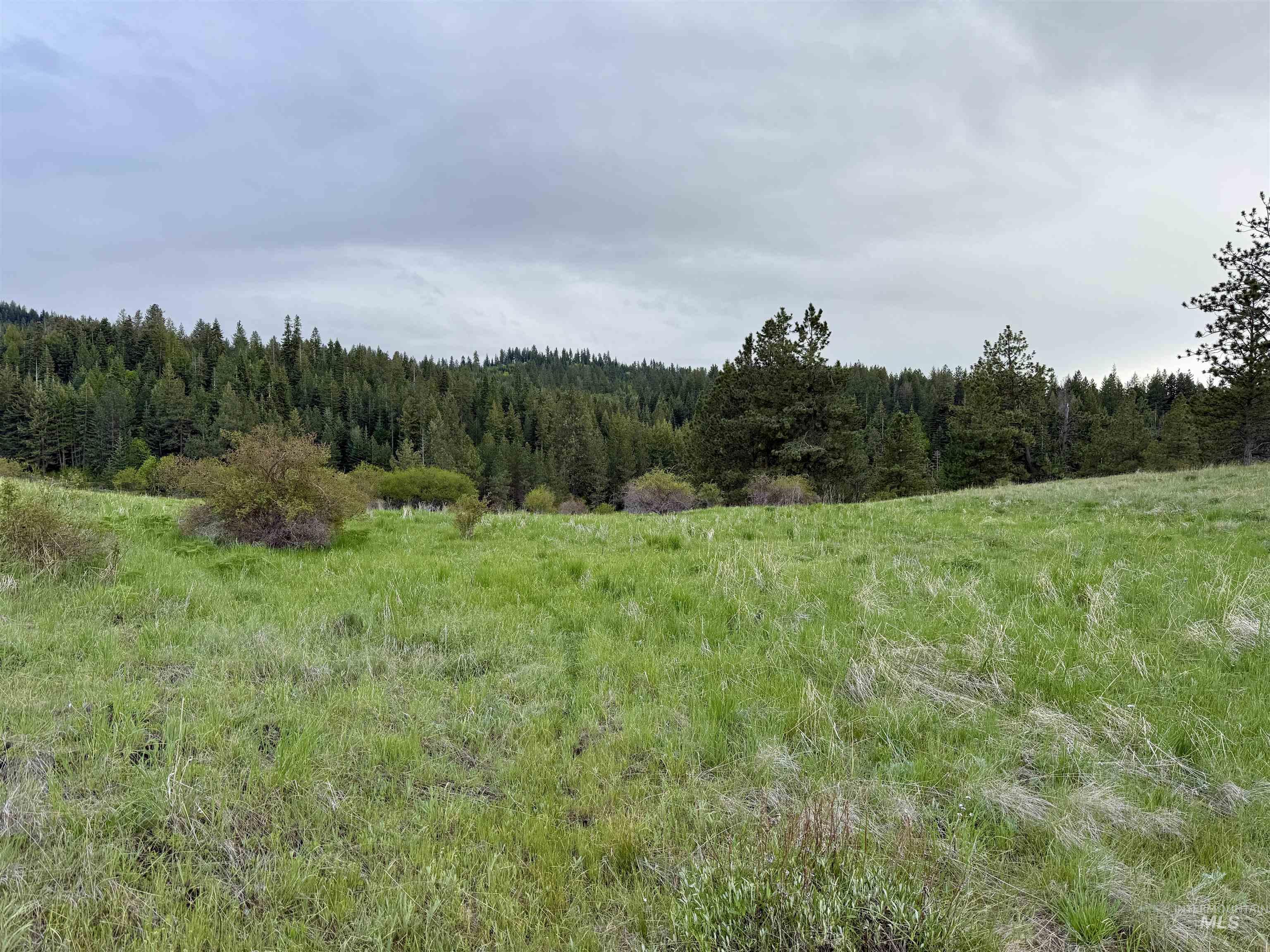2471 Old White Bird Hill Rd Property Photo 21