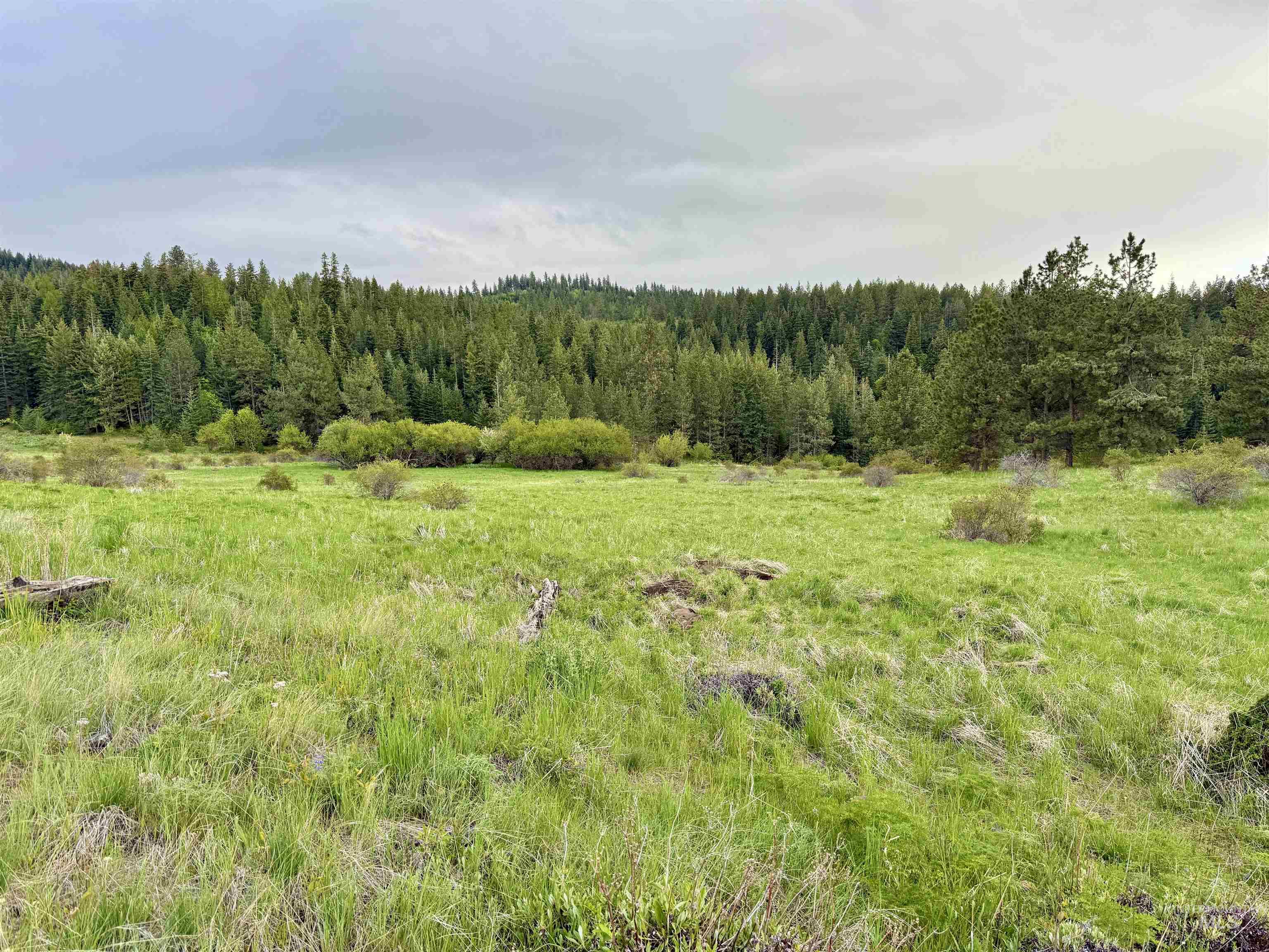 2471 Old White Bird Hill Rd Property Photo 22