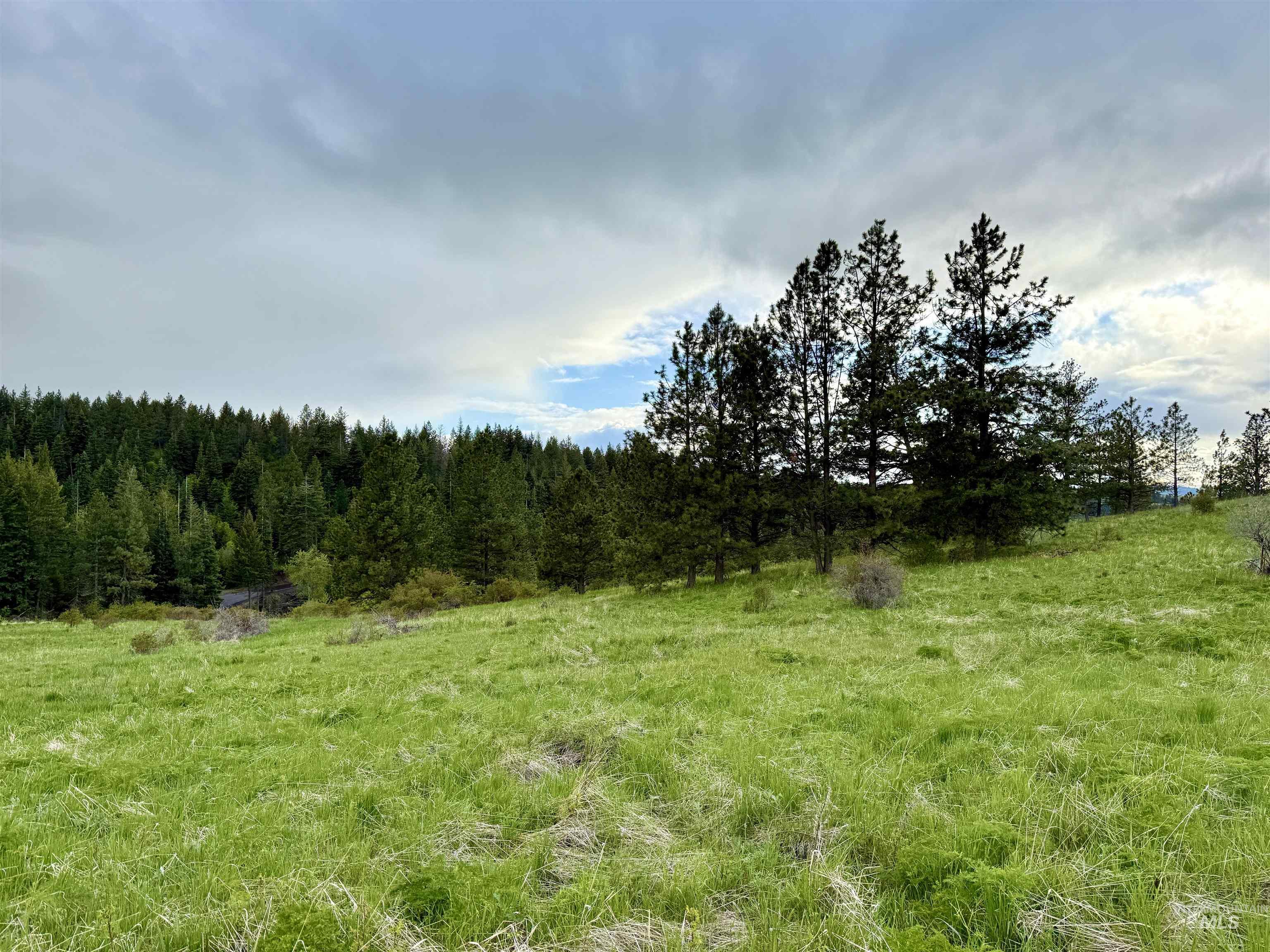 2471 Old White Bird Hill Rd Property Photo 24