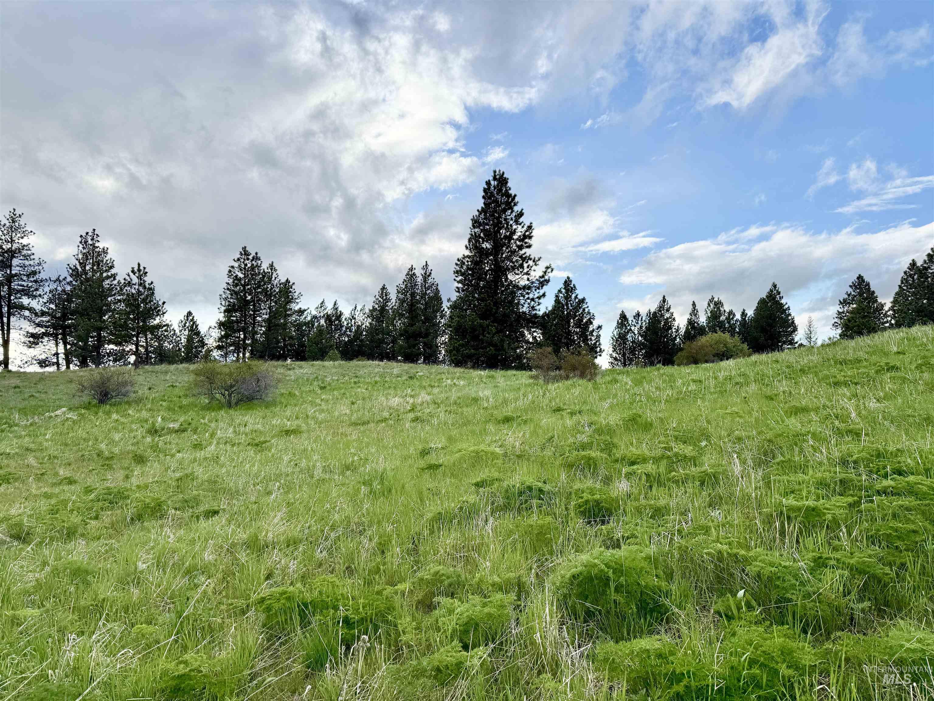 2471 Old White Bird Hill Rd Property Photo 26