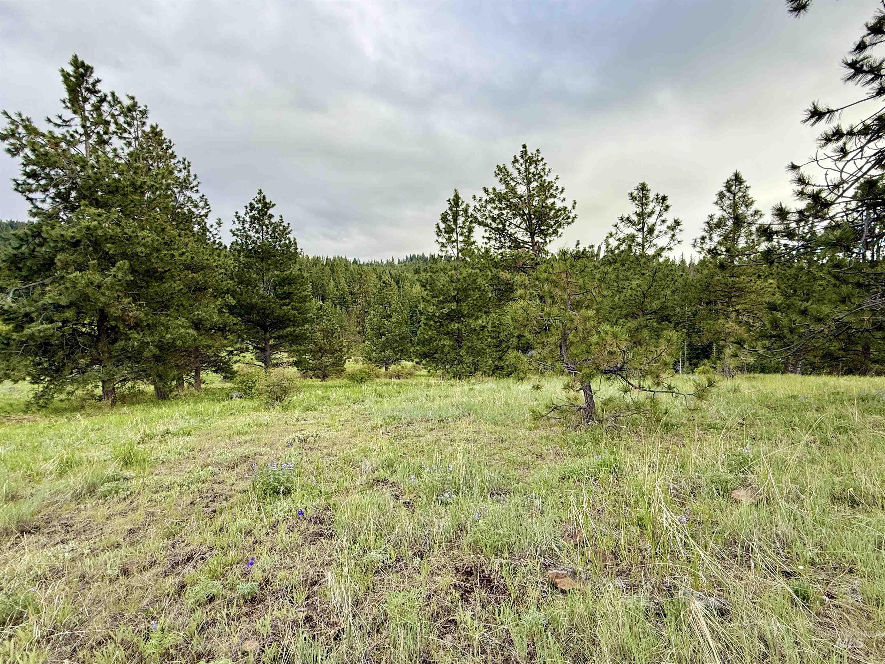 2471 Old White Bird Hill Rd Property Photo 27