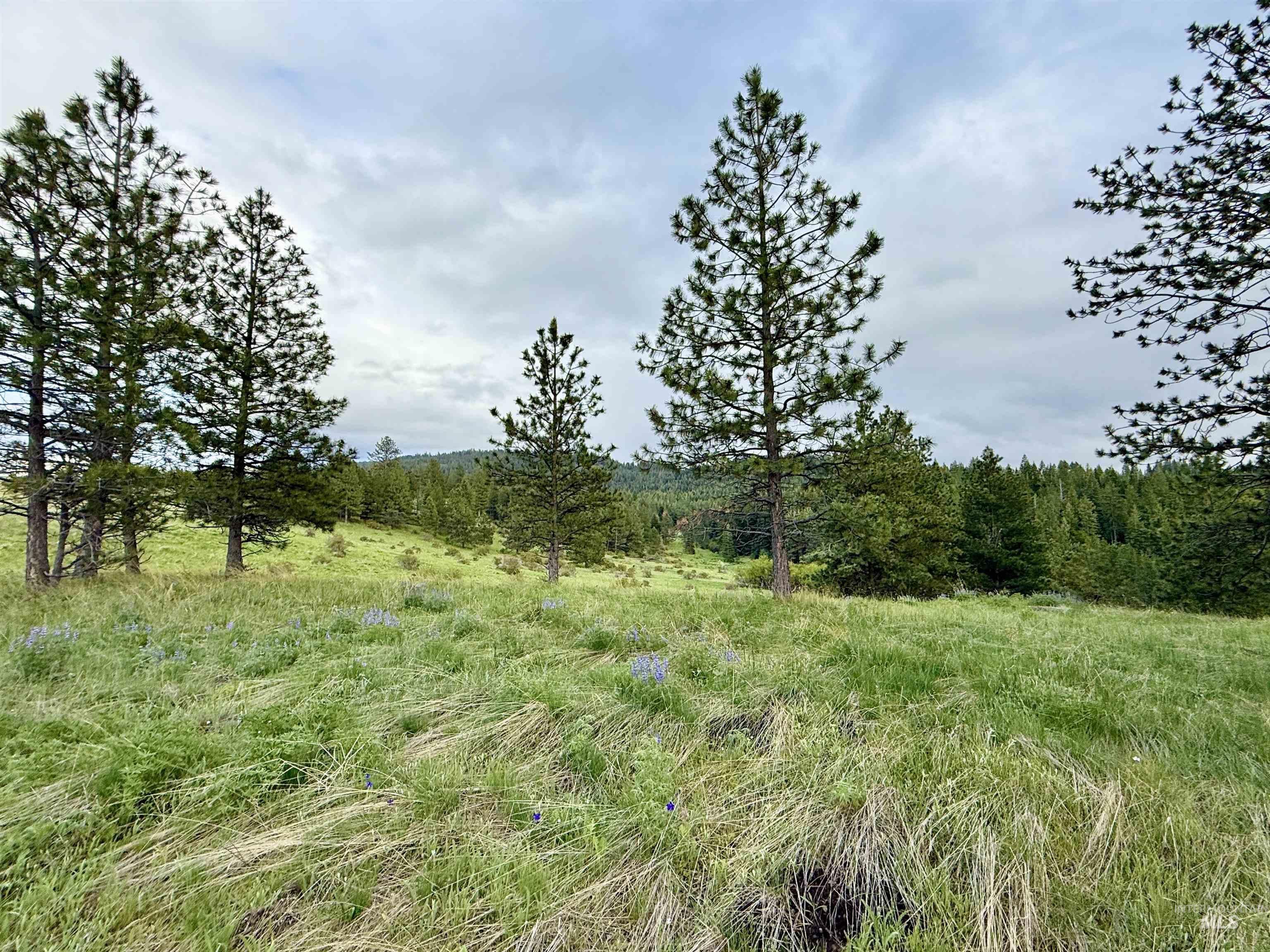 2471 Old White Bird Hill Rd Property Photo 29