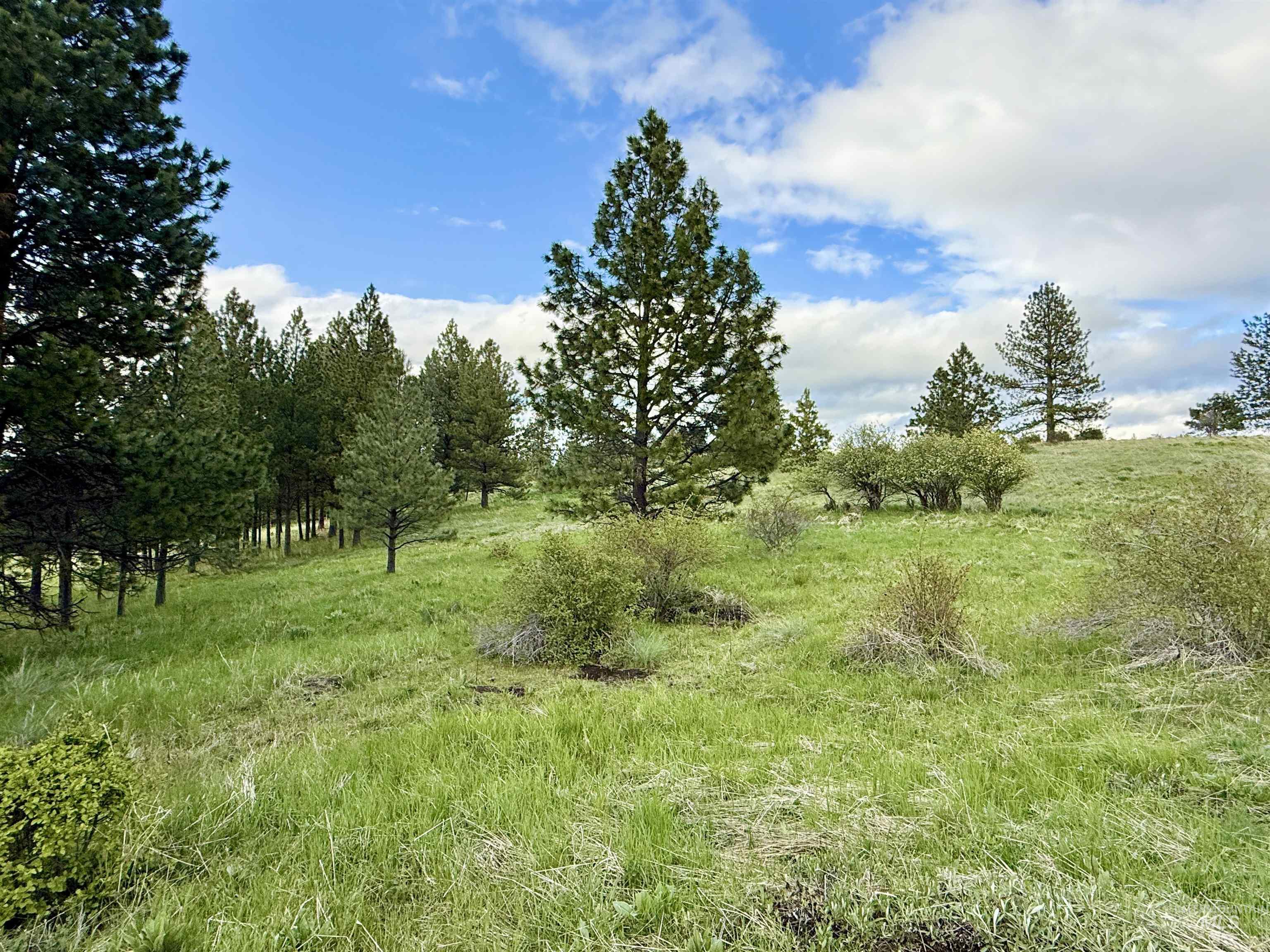 2471 Old White Bird Hill Rd Property Photo 30