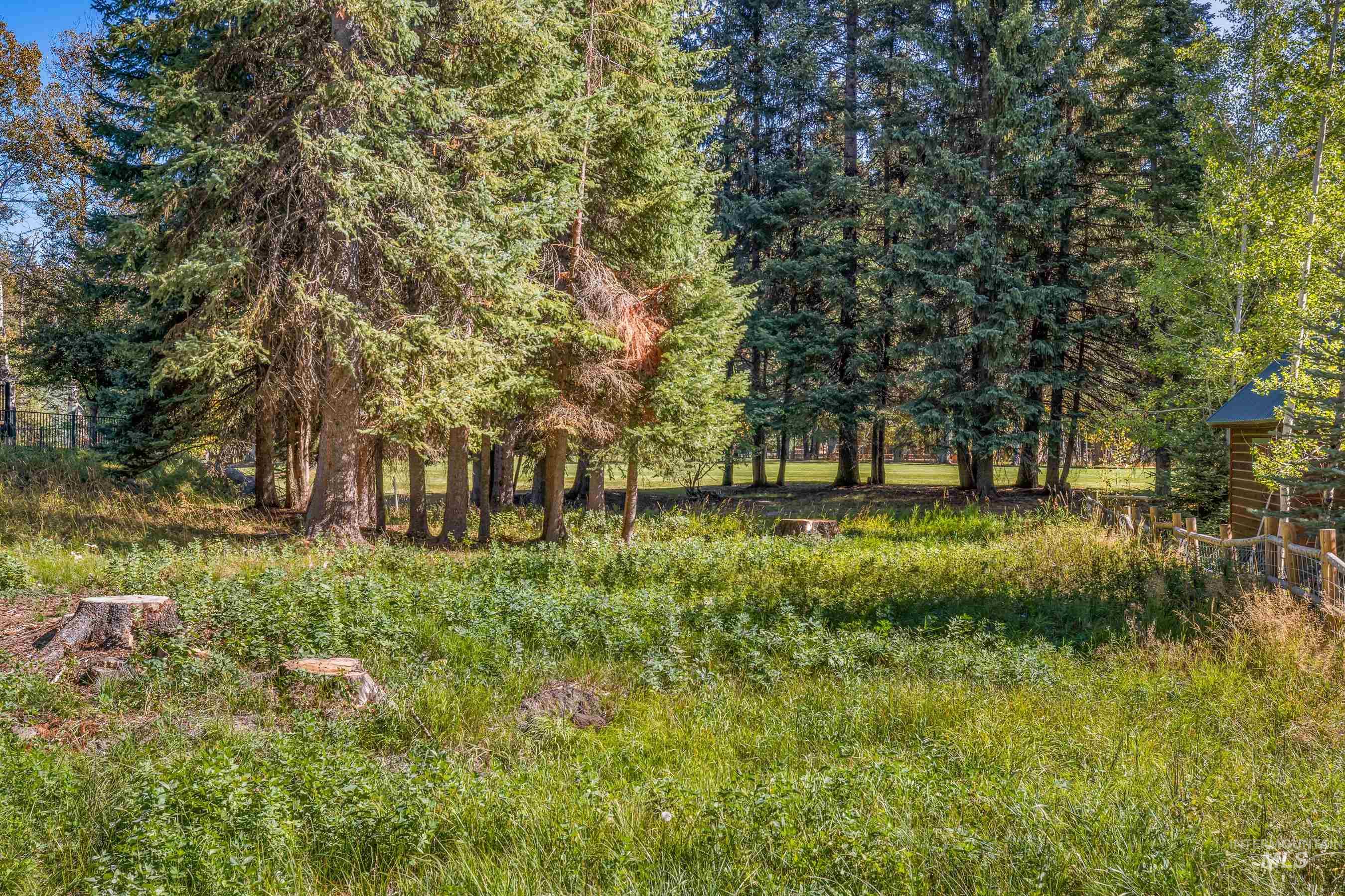 1365 Divot Lane Property Photo 4
