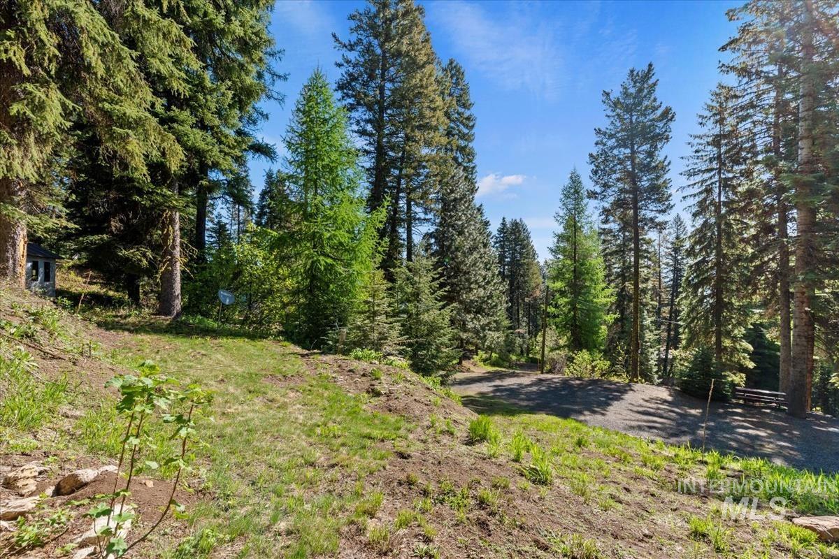 1589 Bear Trail Lp Property Photo 24