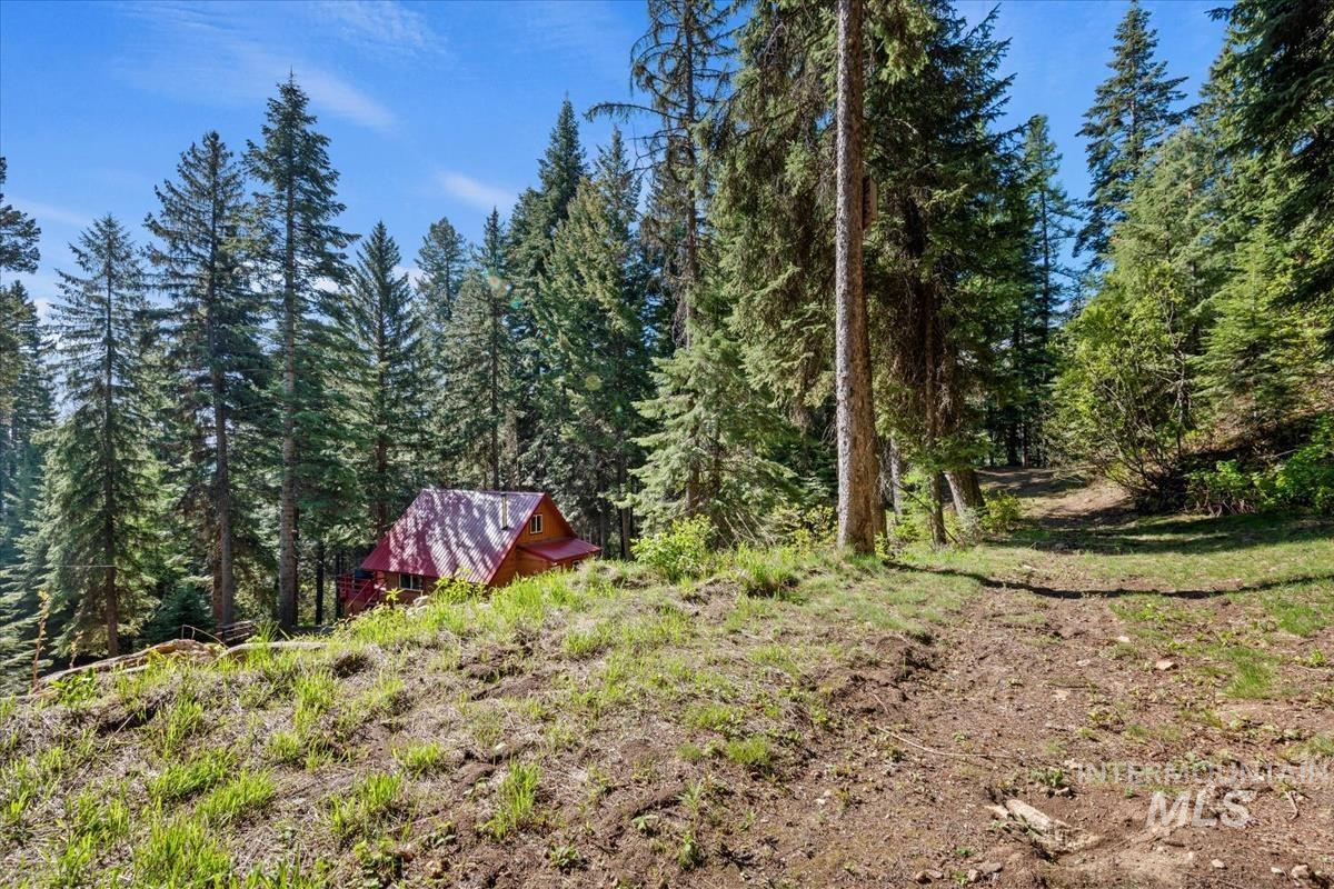 1589 Bear Trail Lp Property Photo 31