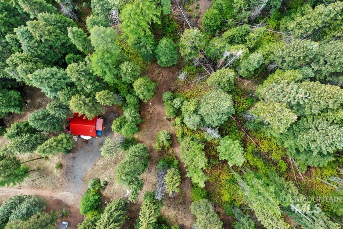 1589 Bear Trail Lp Property Photo 32