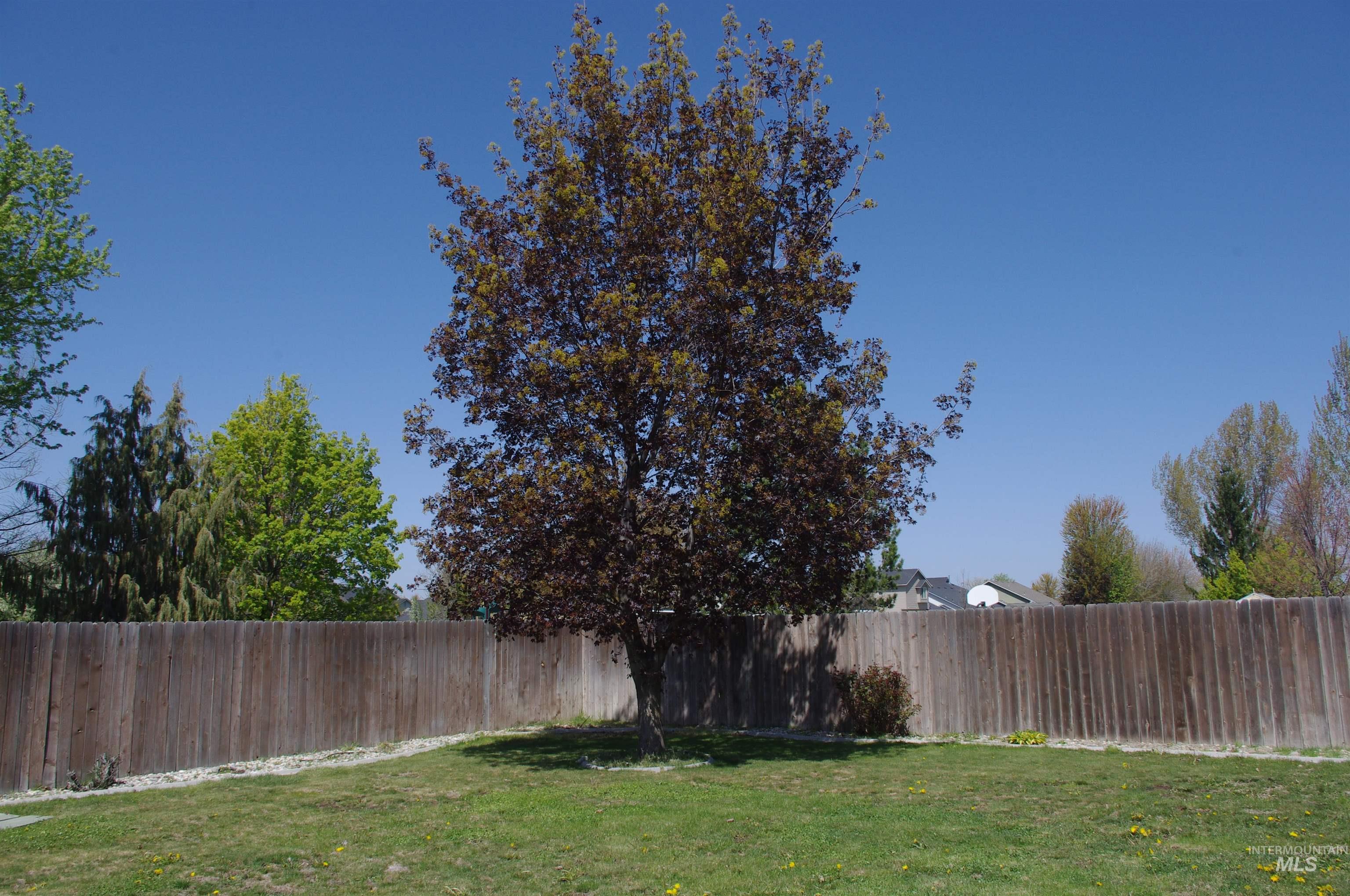 1009 S New Summer Property Photo 35