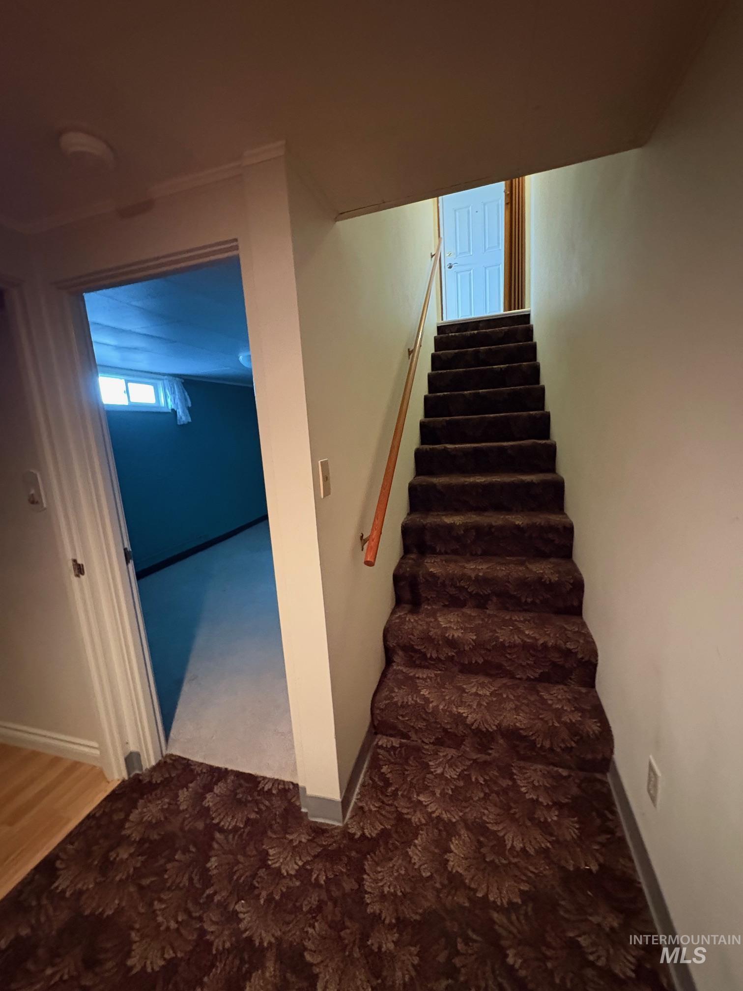 1615 Prospect Ave Property Photo 19