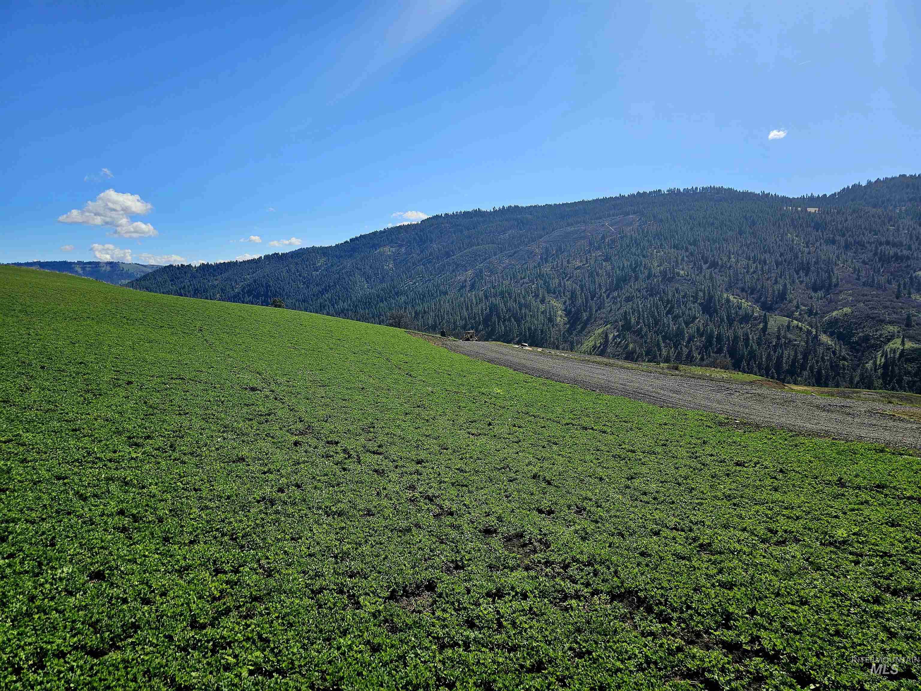 Lot 4 Quiet Hills Lane Property Photo 8