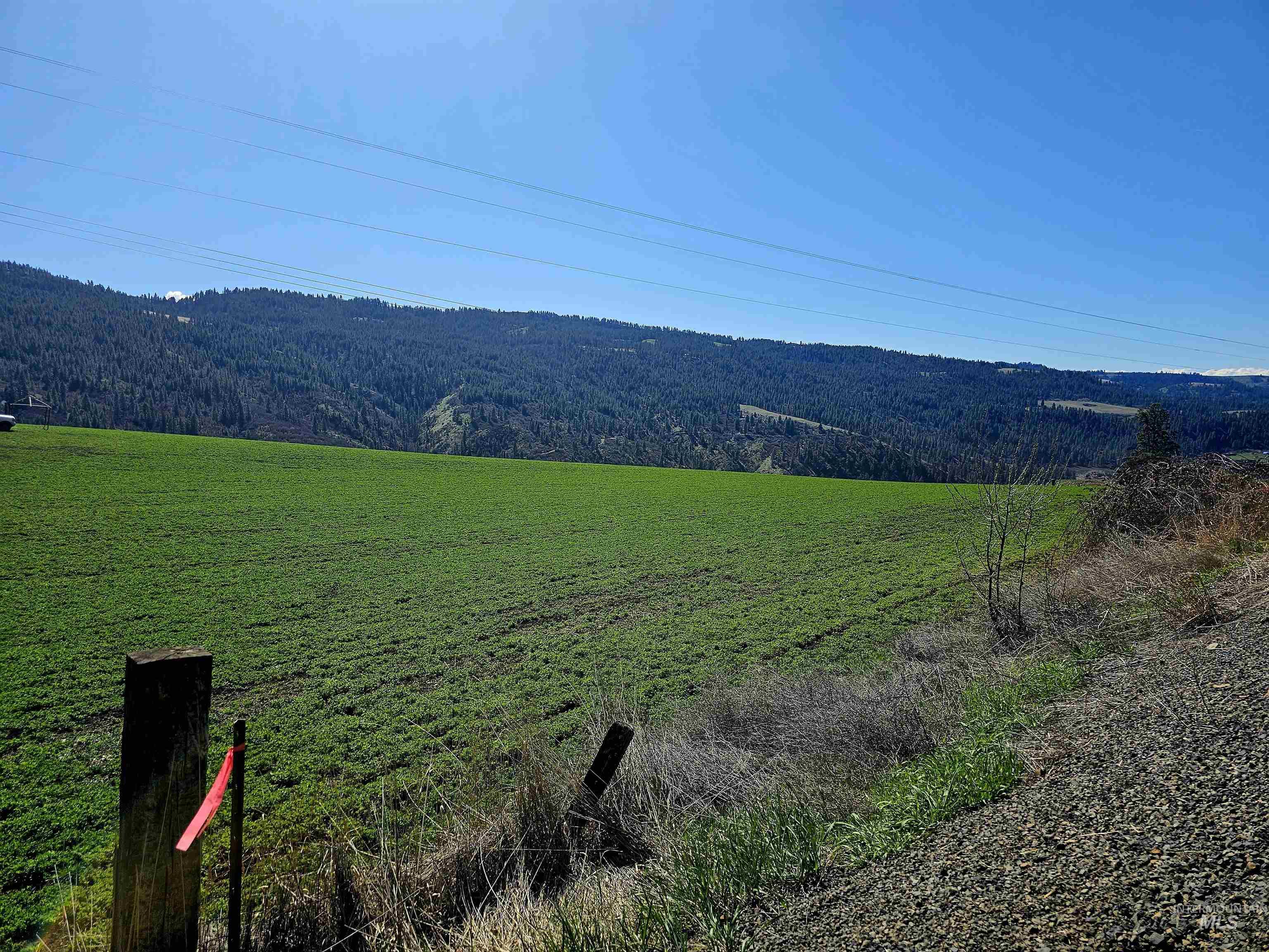Lot 4 Quiet Hills Lane Property Photo 10