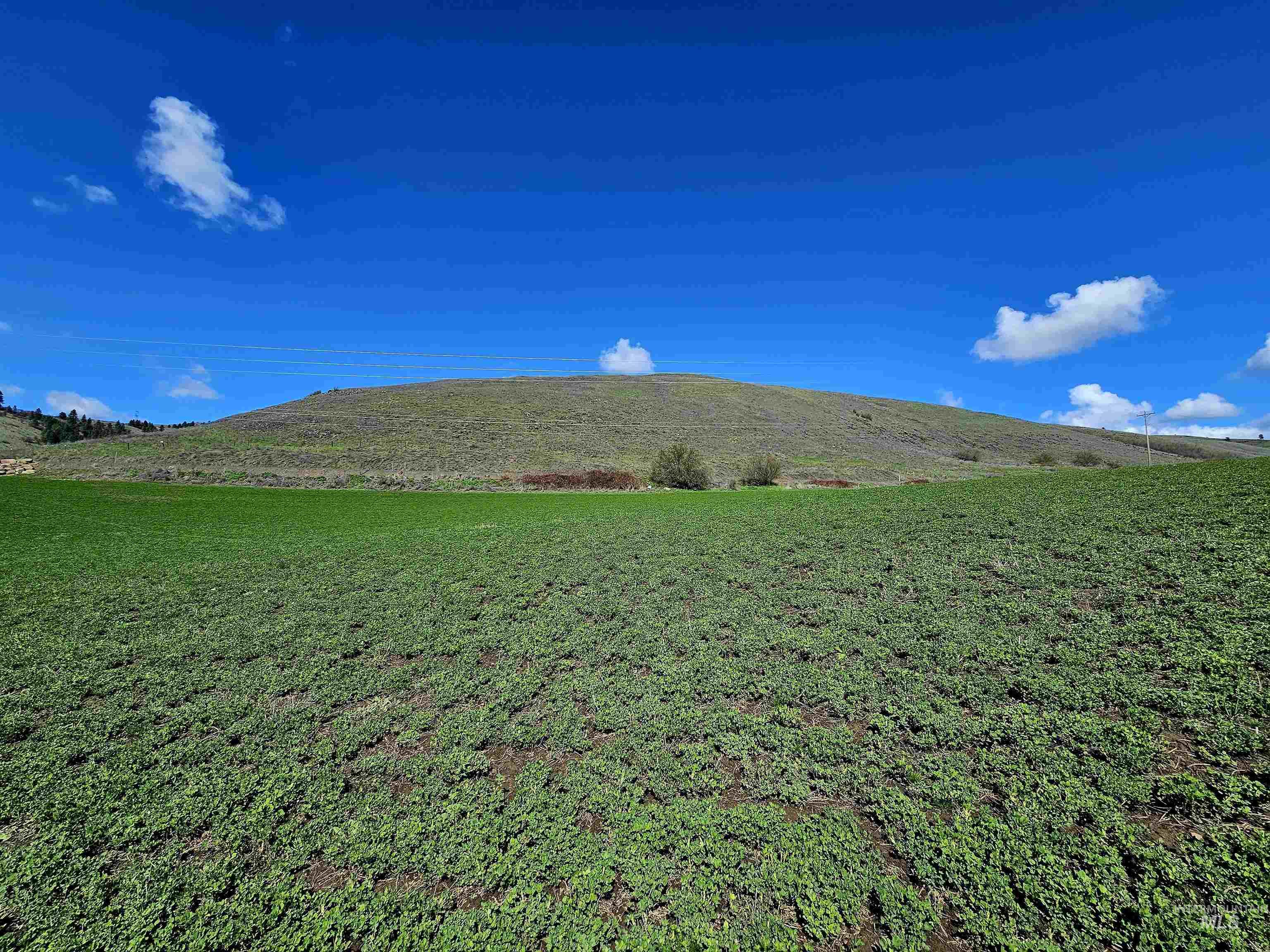 Lot 4 Quiet Hills Lane Property Photo 11