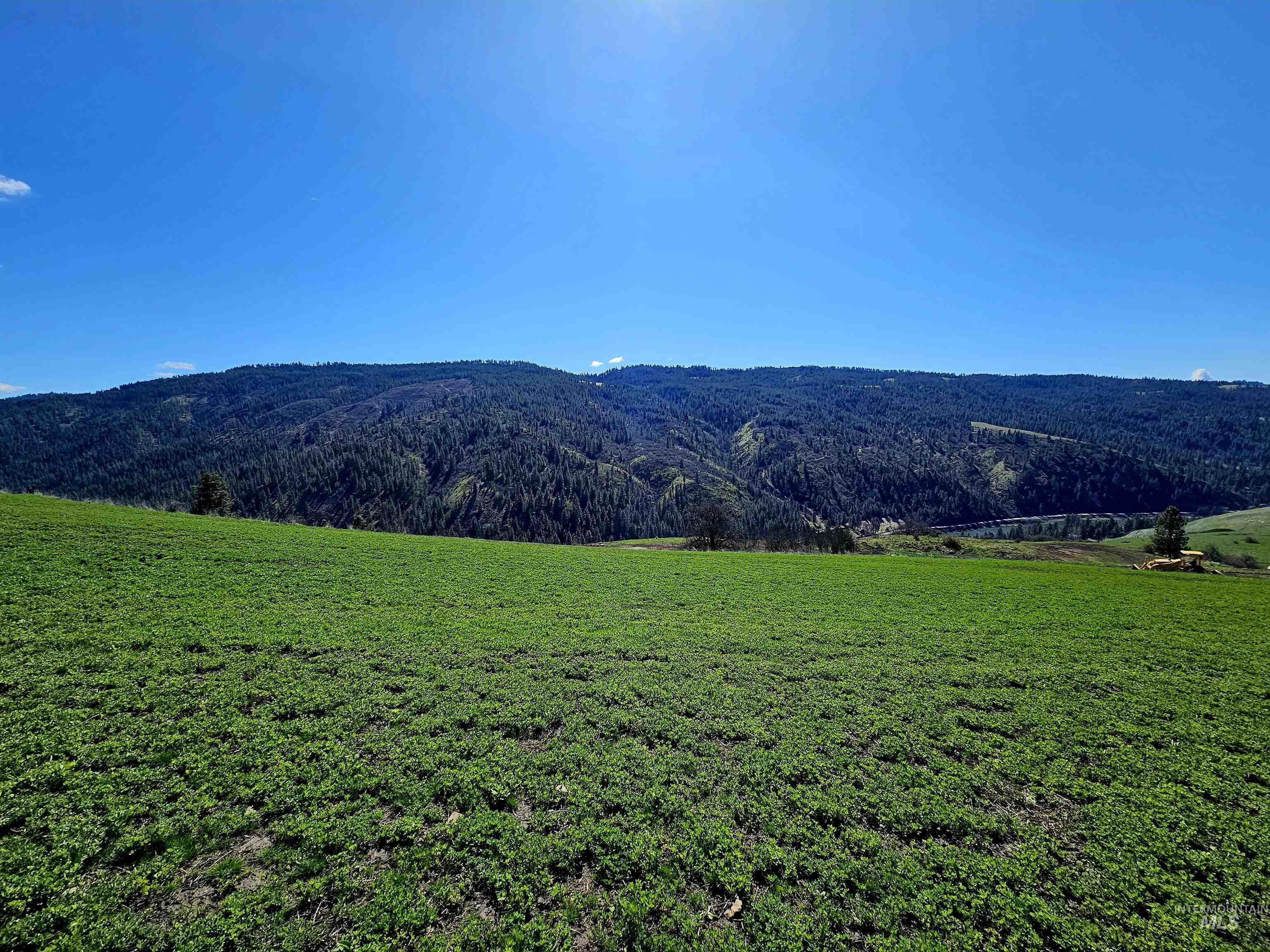 Lot 4 Quiet Hills Lane Property Photo 12