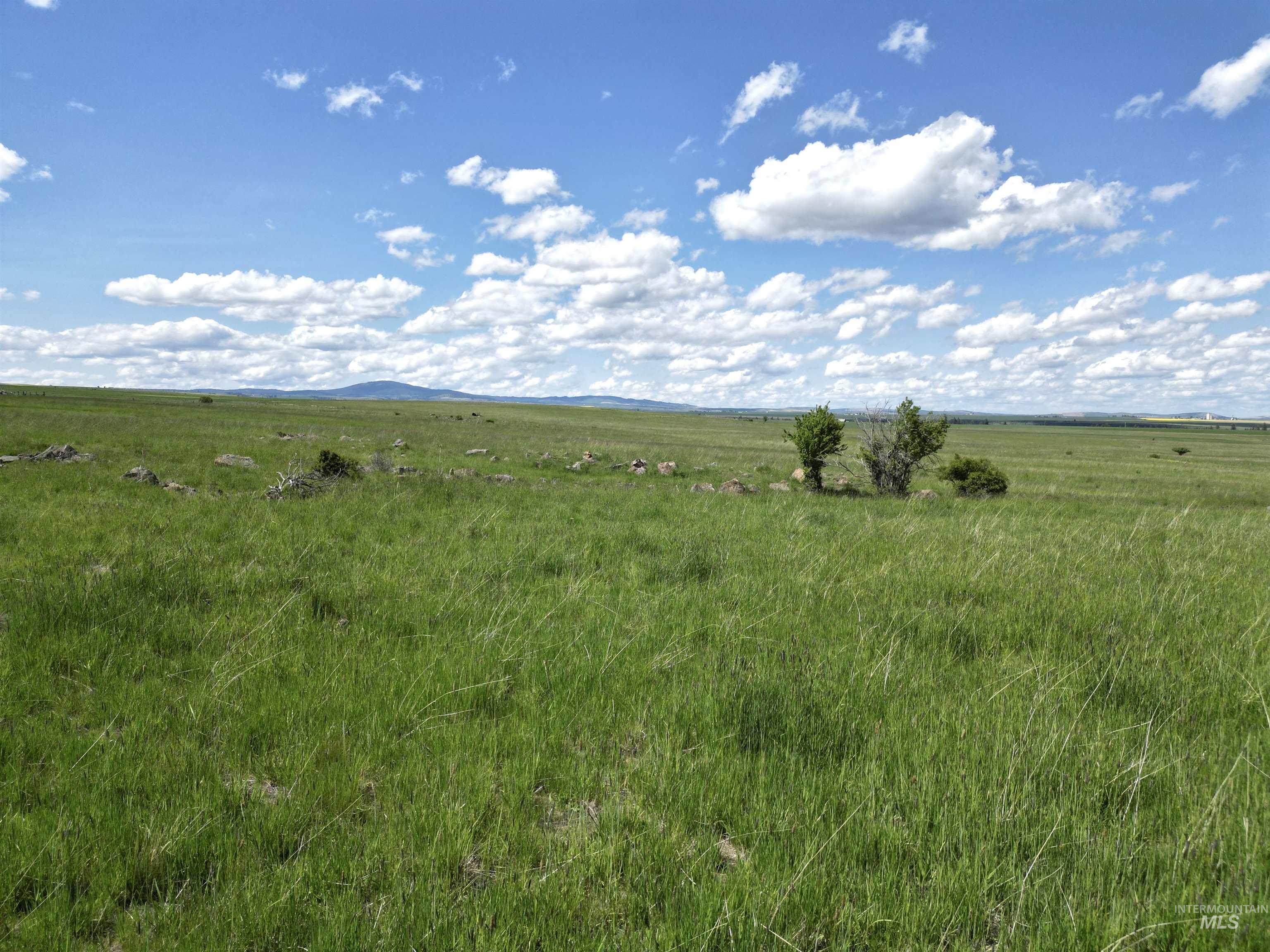 Tbd Gill Point Road Lot 4 Property Photo 12