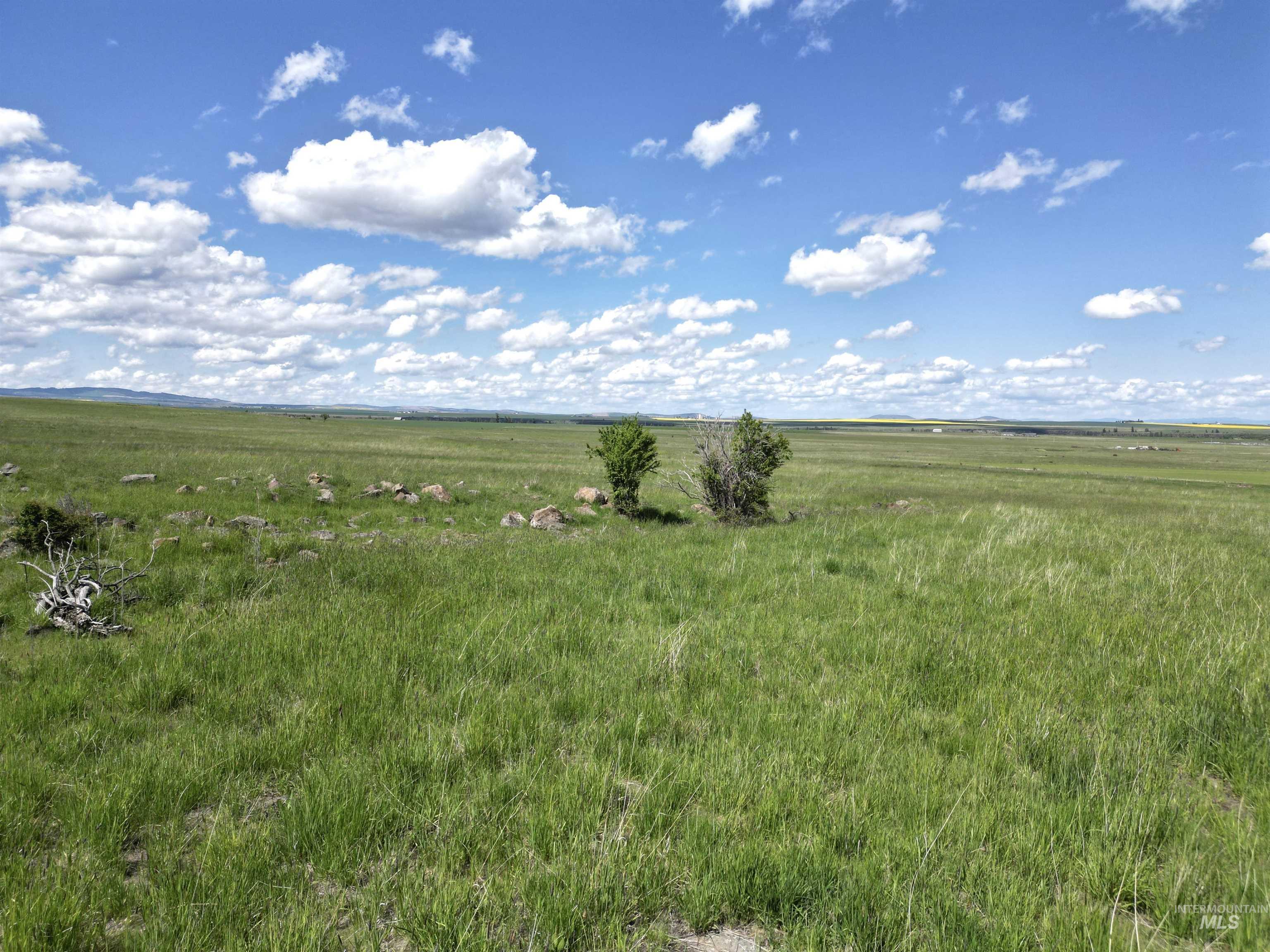 Tbd Gill Point Road Lot 4 Property Photo 22