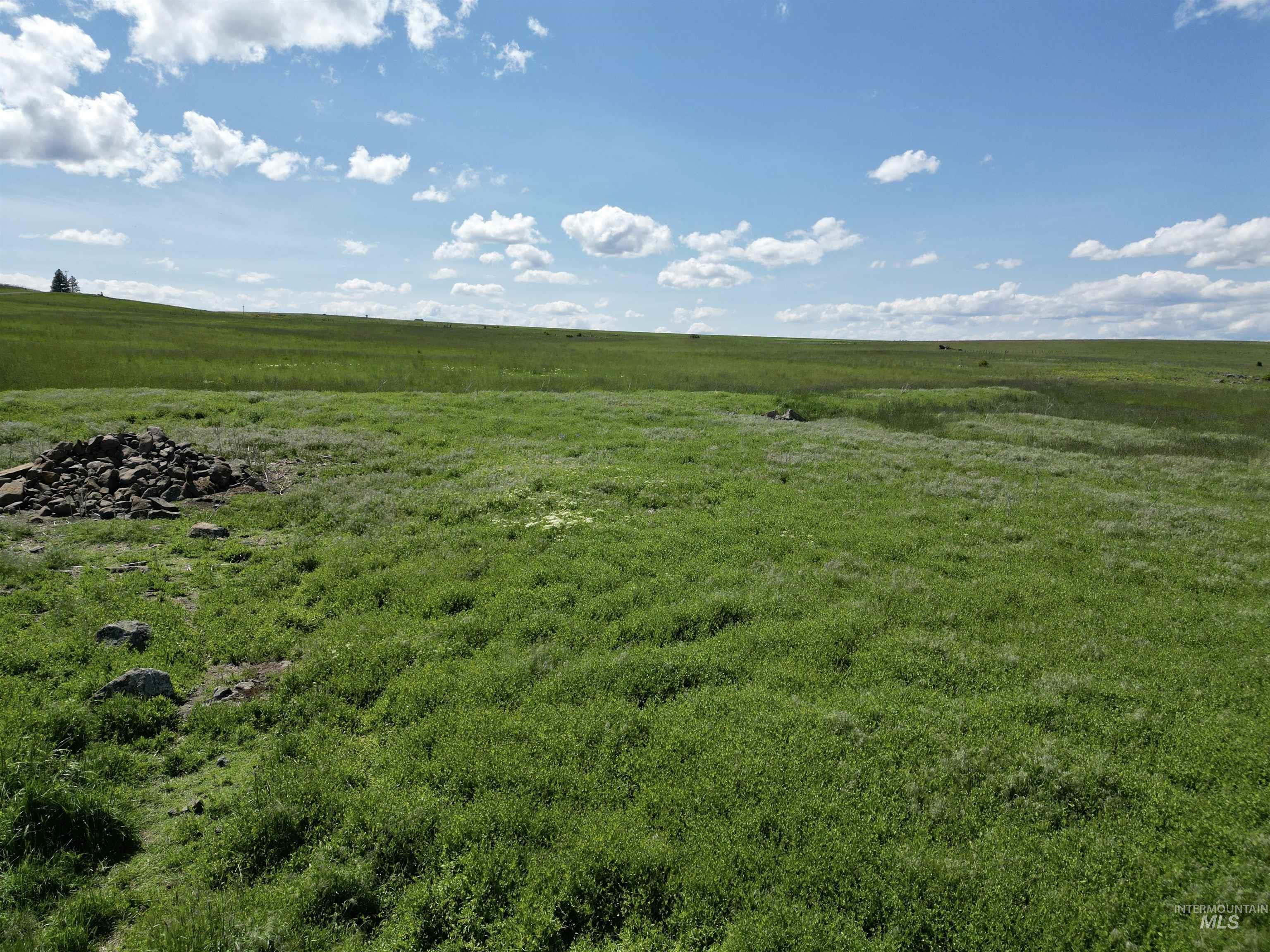 Tbd Gill Point Road Lot 4 Property Photo 24