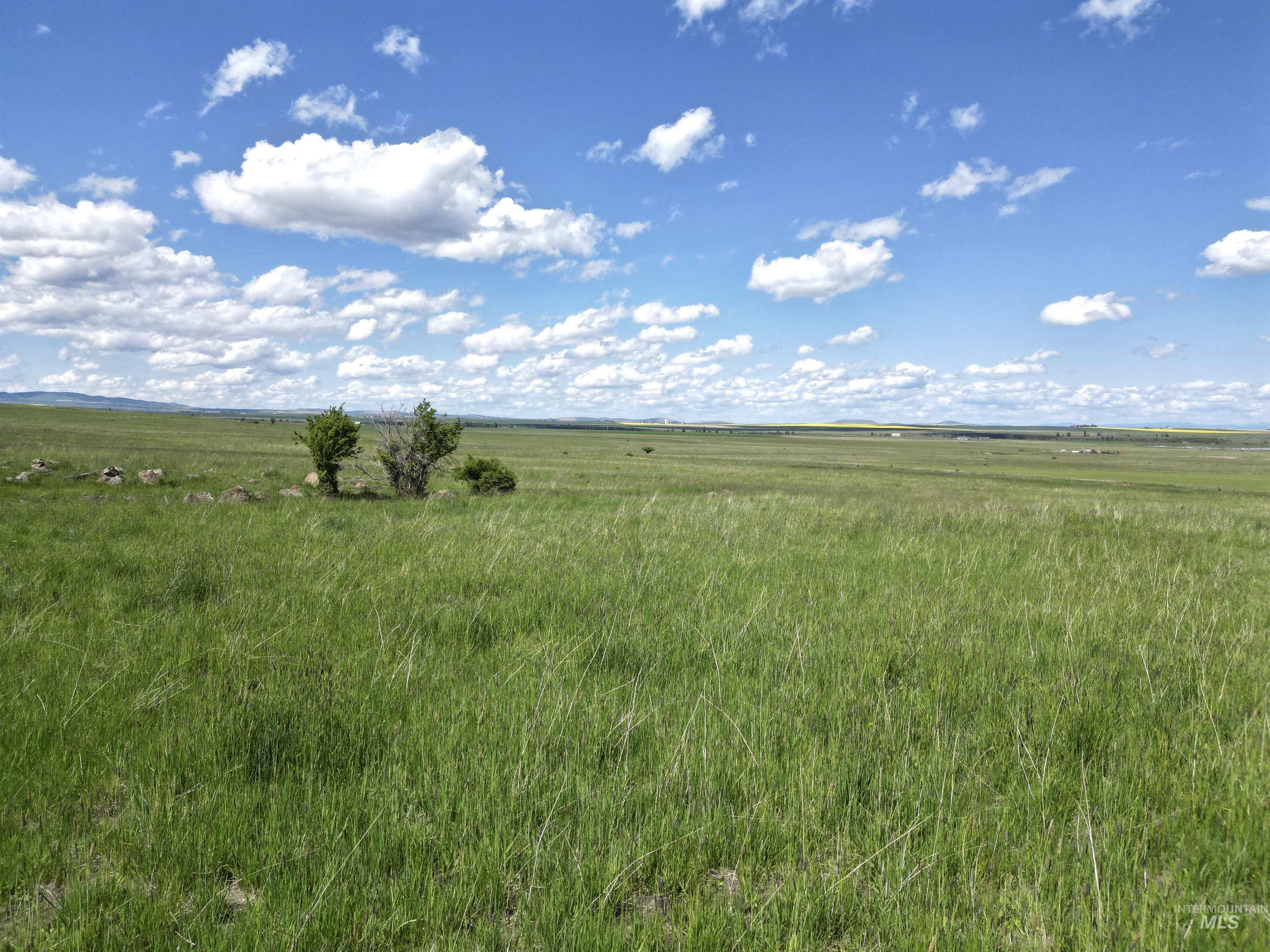 Tbd Gill Point Road Lot 4 Property Photo 31