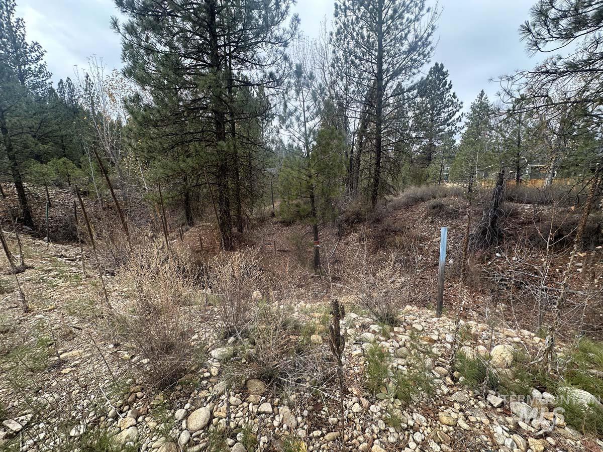 Lily Loop Property Photo 1