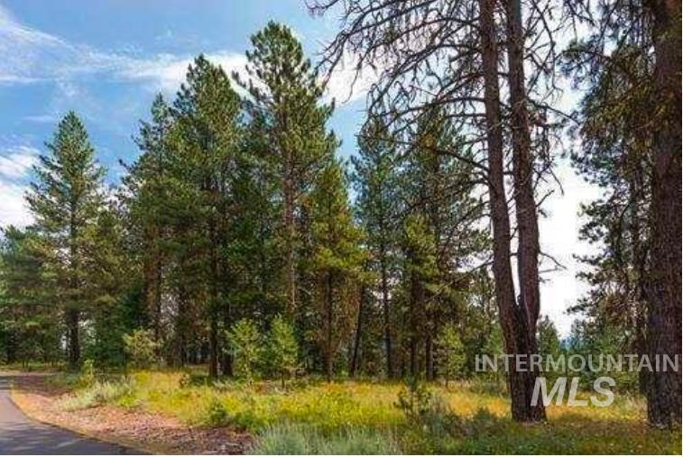 Lot 15 Northwood Court Property Photo 5