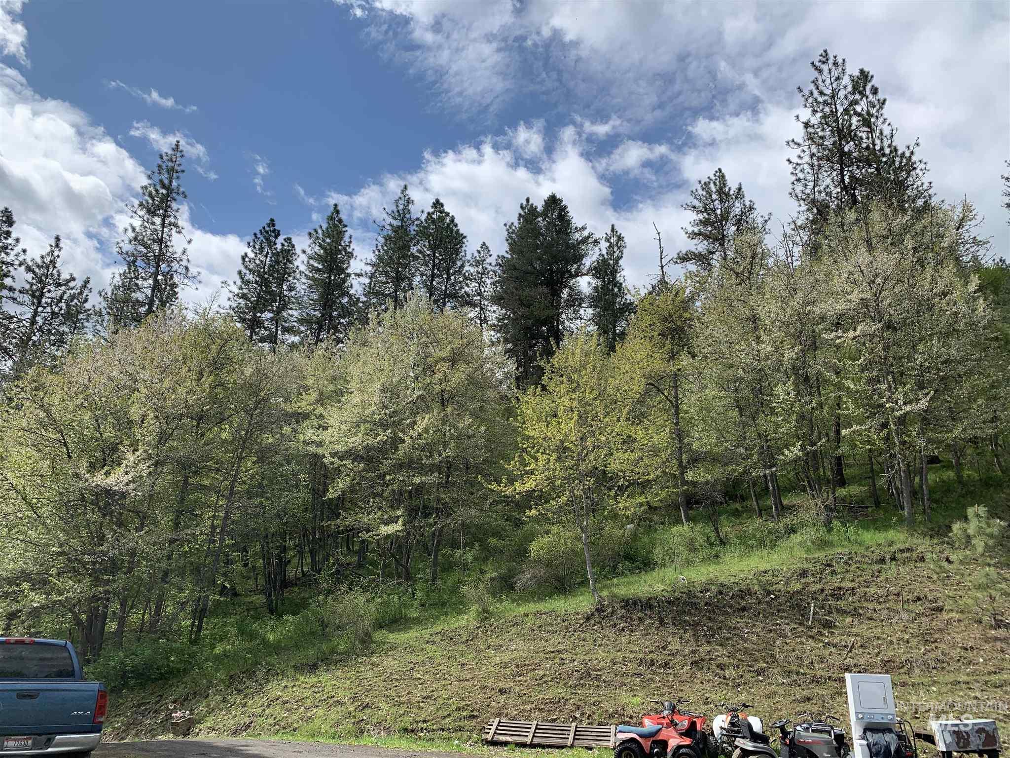 120 Three Bear Lane Property Photo 7