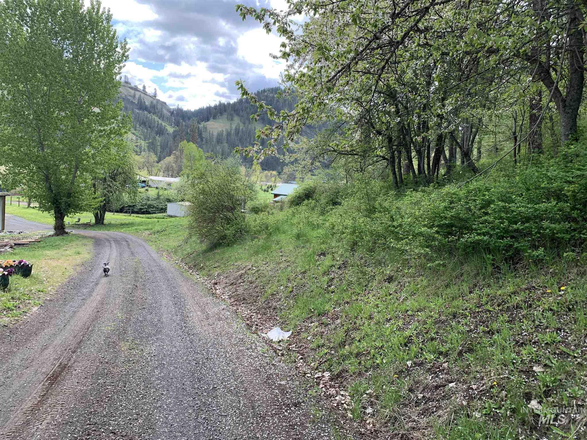 120 Three Bear Lane Property Photo 11