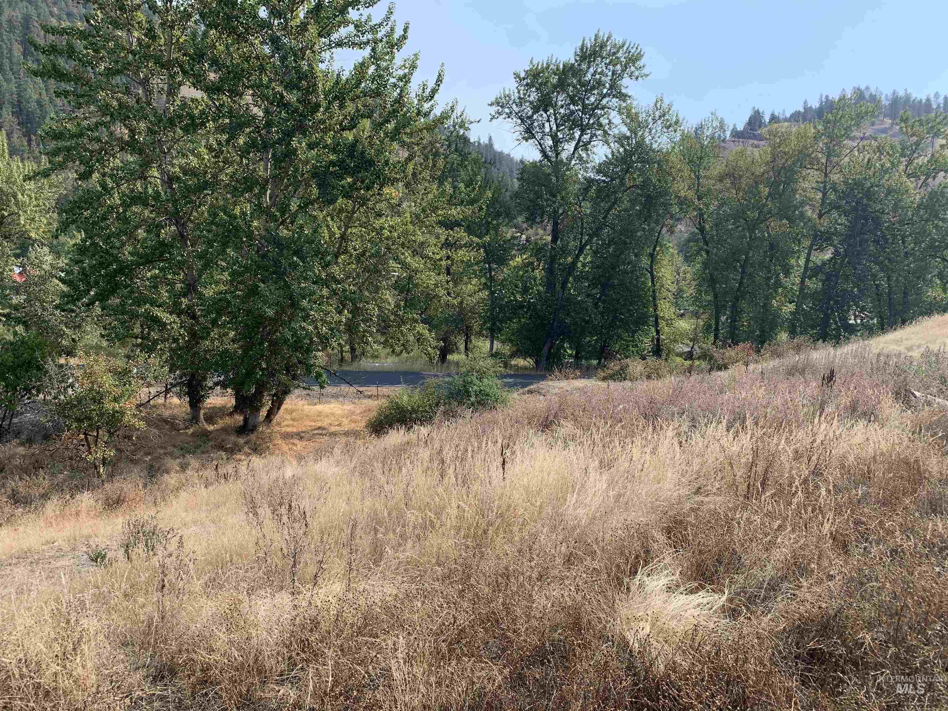 120 Three Bear Lane Property Photo 16