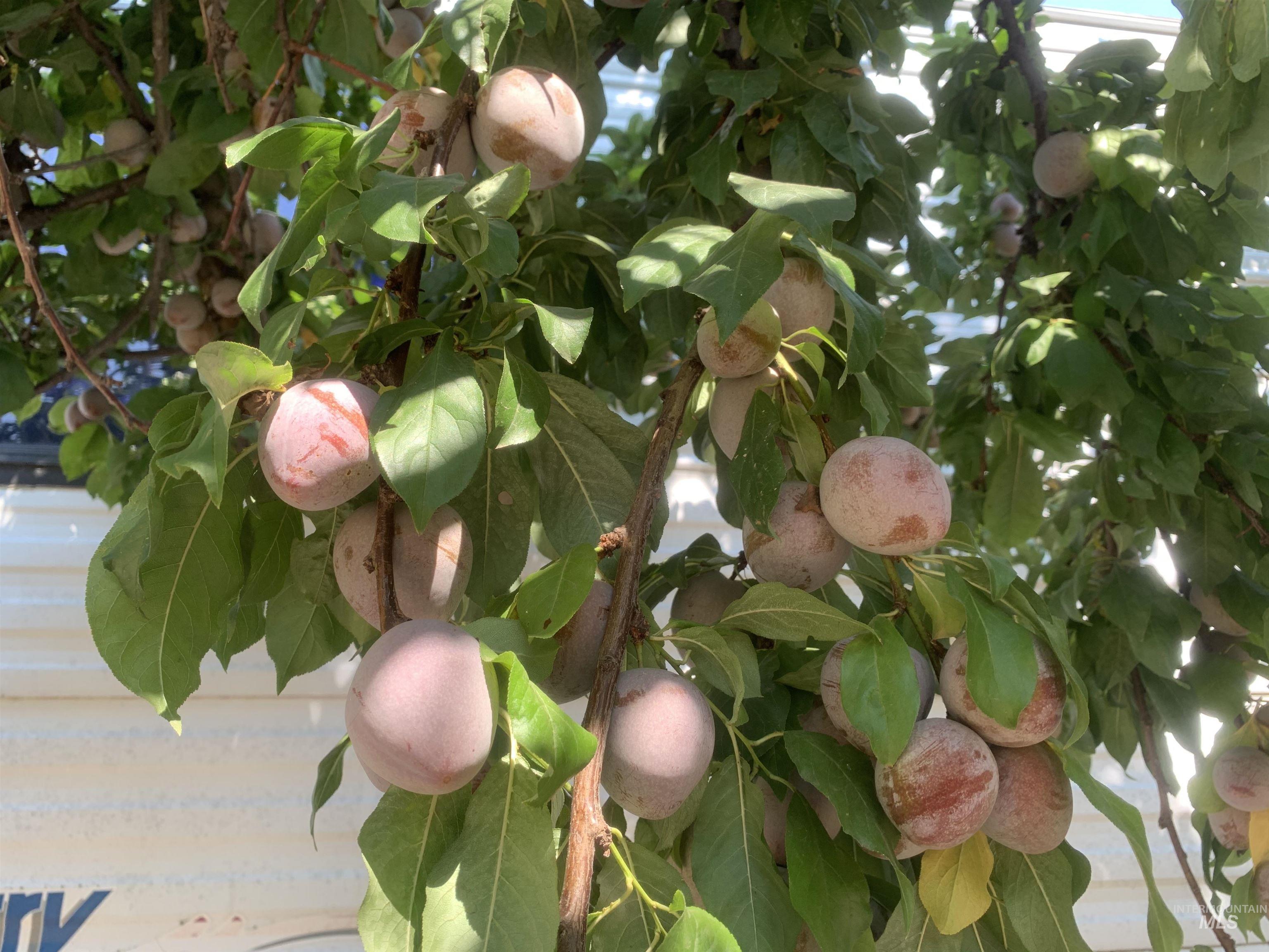 120 Three Bear Lane Property Photo 32